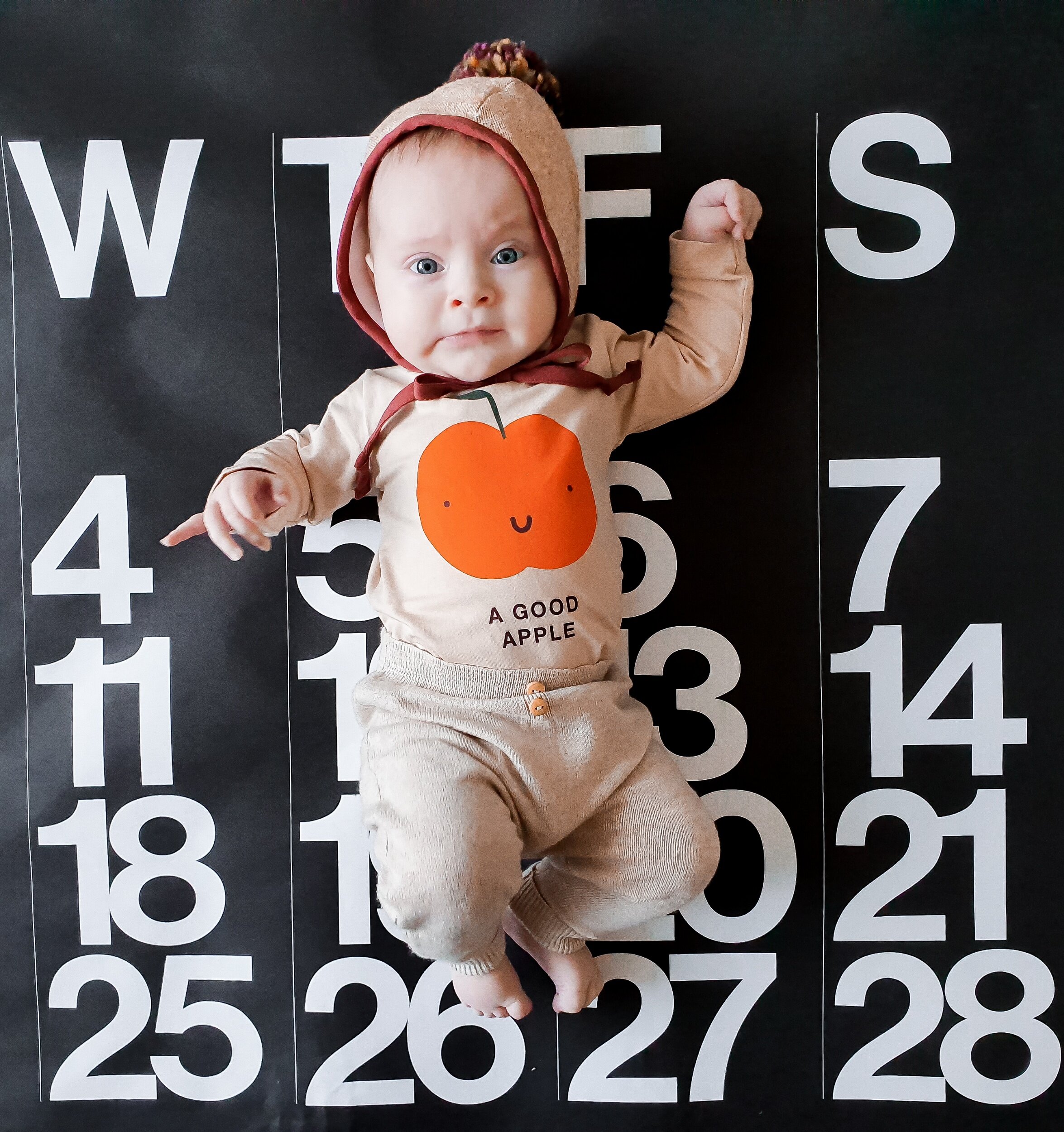 one whole year of marlow autumn