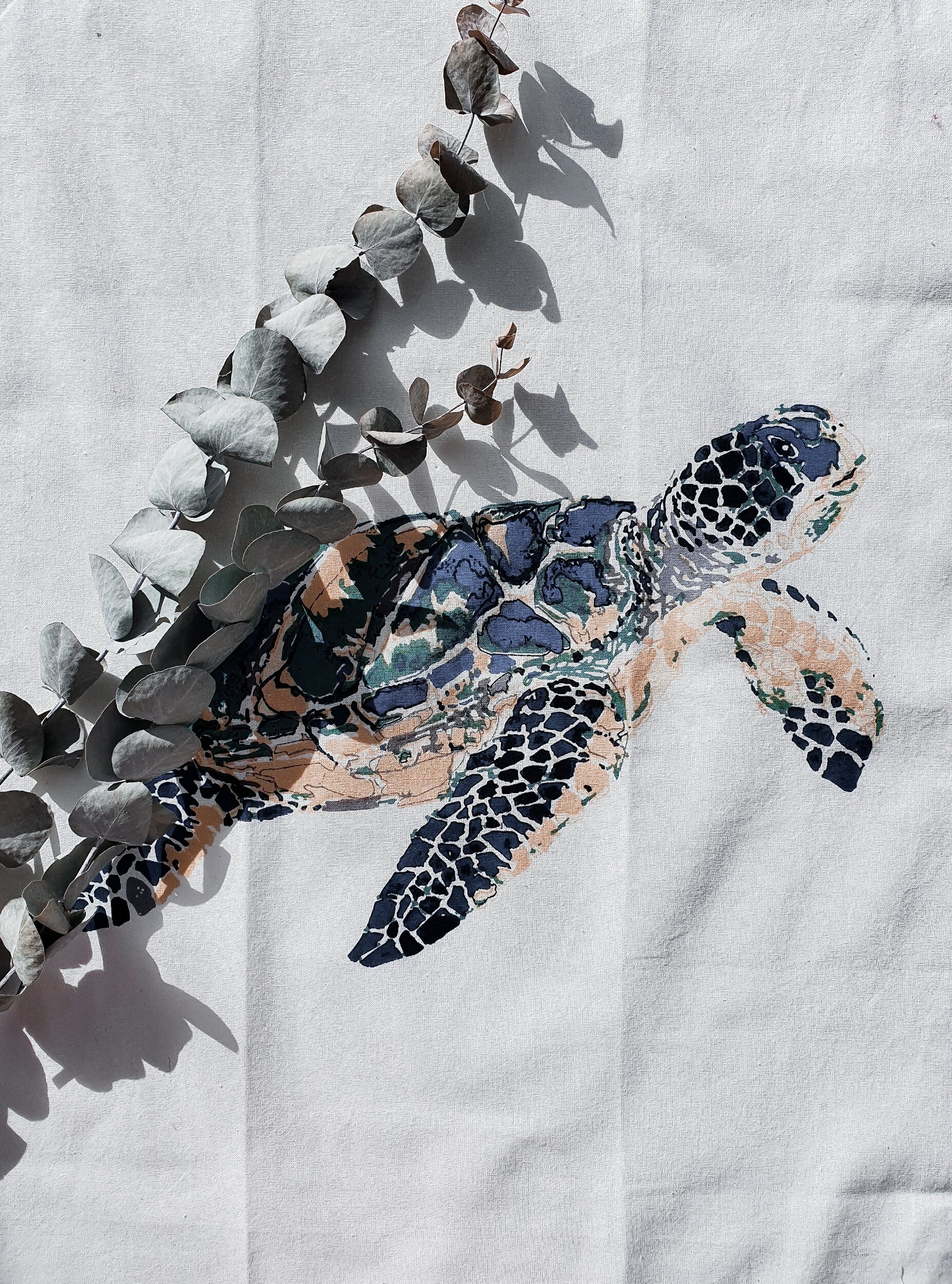 the leatherback sea turtle and the start of my plastic journey