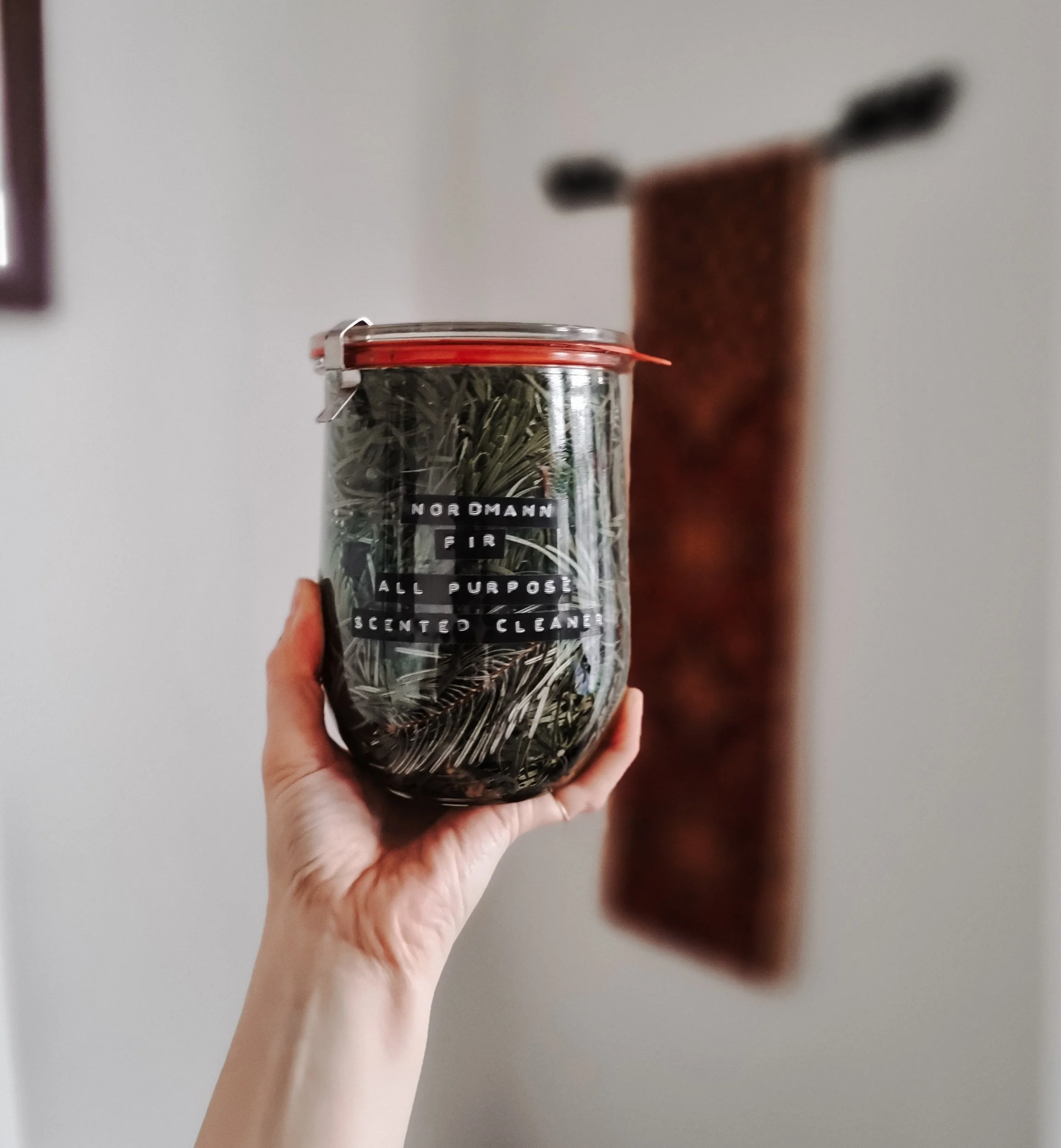 homemade all purpose cleaner