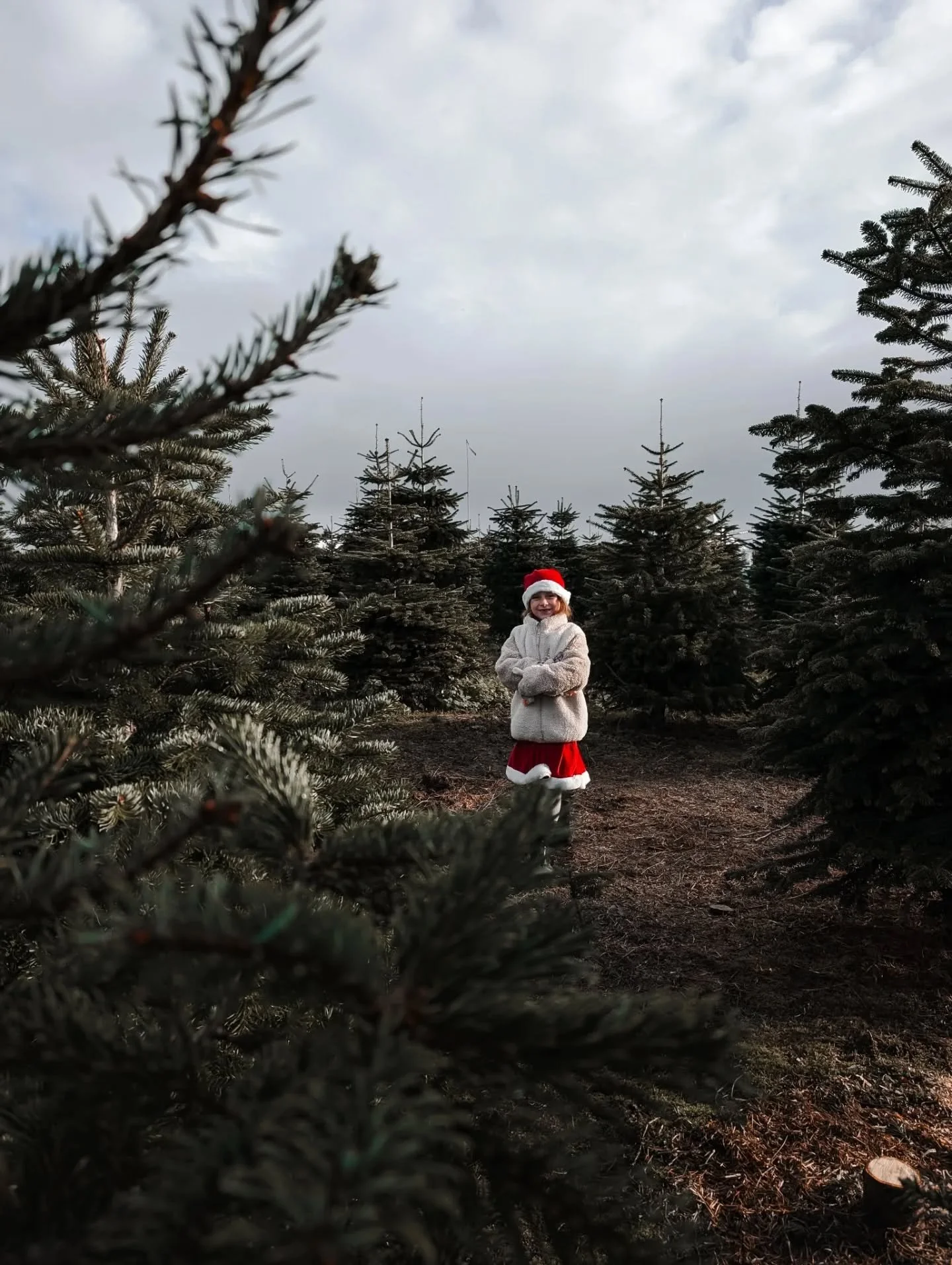 Picking out our tree and waching our little ones run amongst the evergreens, searching for a tree to adorn with glass ornaments and tinsel might just be one of my favourite memories each year. 
Super dad picks it up, throws it over his shoulder and a