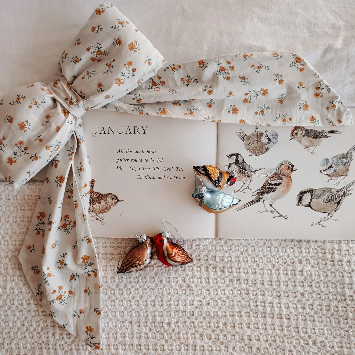 January - as always you passed in a blink. 
But id like to remember bringing in the new year, Marlow, Baba and I drawing one anothers portraits... sleds on the beach, country walks musing on our aims and hopes for this year... Marlow and I teaching o