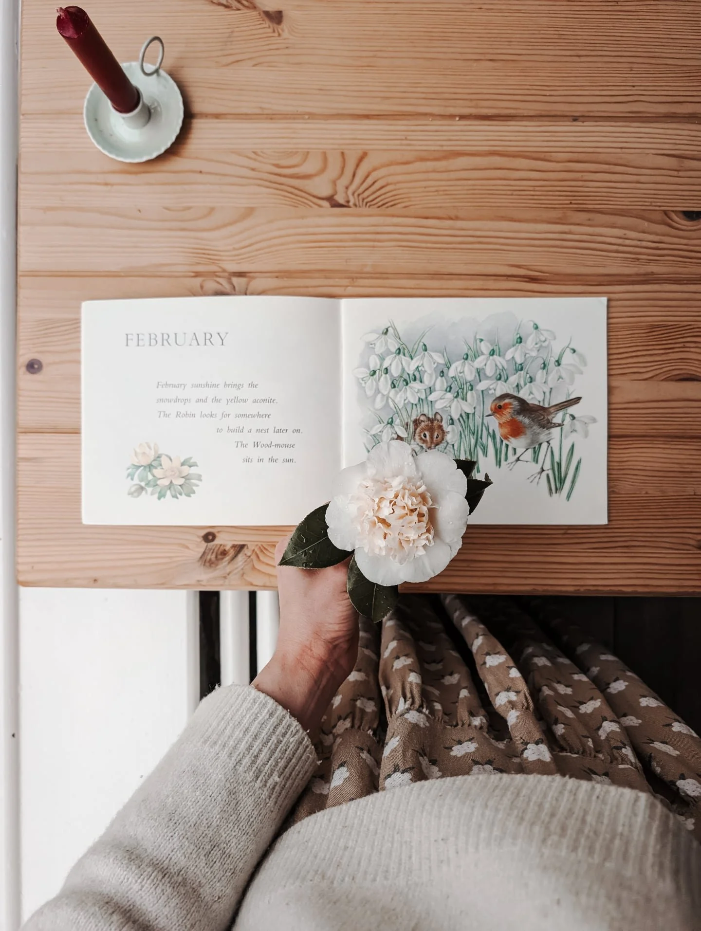 February saw all the flowers beginning to open up for spring... And I was here for it. 
&bull;
&bull;
&bull;
&bull;
#camelia #spring #february