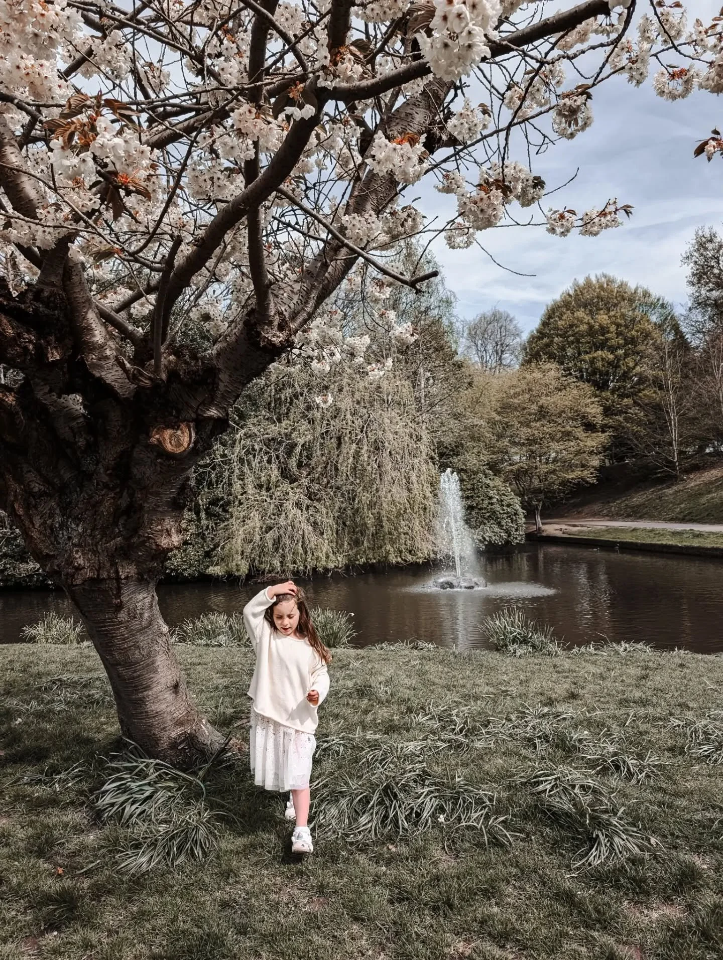 Spring blossoms are blooming hard. My whole soul feels happy right now, plus one exam under my belt (giving extra happy vibes).
&bull;
&bull;
&bull;
&bull;
&bull;
&bull;
#springsunshine
#springsummer #springblossoms