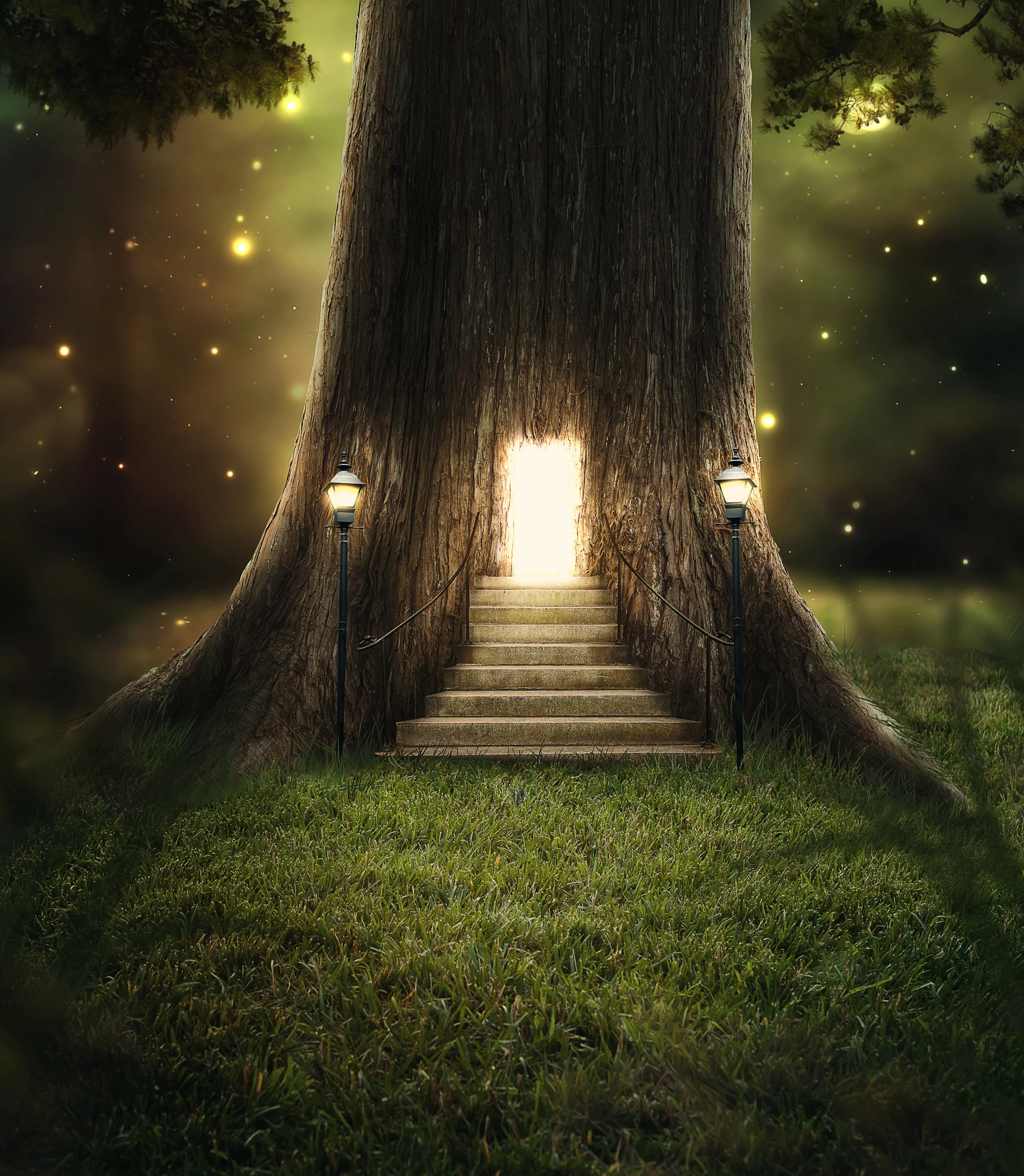 a-tree-in-the-forest-with-a-door-glowing-with-bright-lights_HoRzHntLDx.jpg