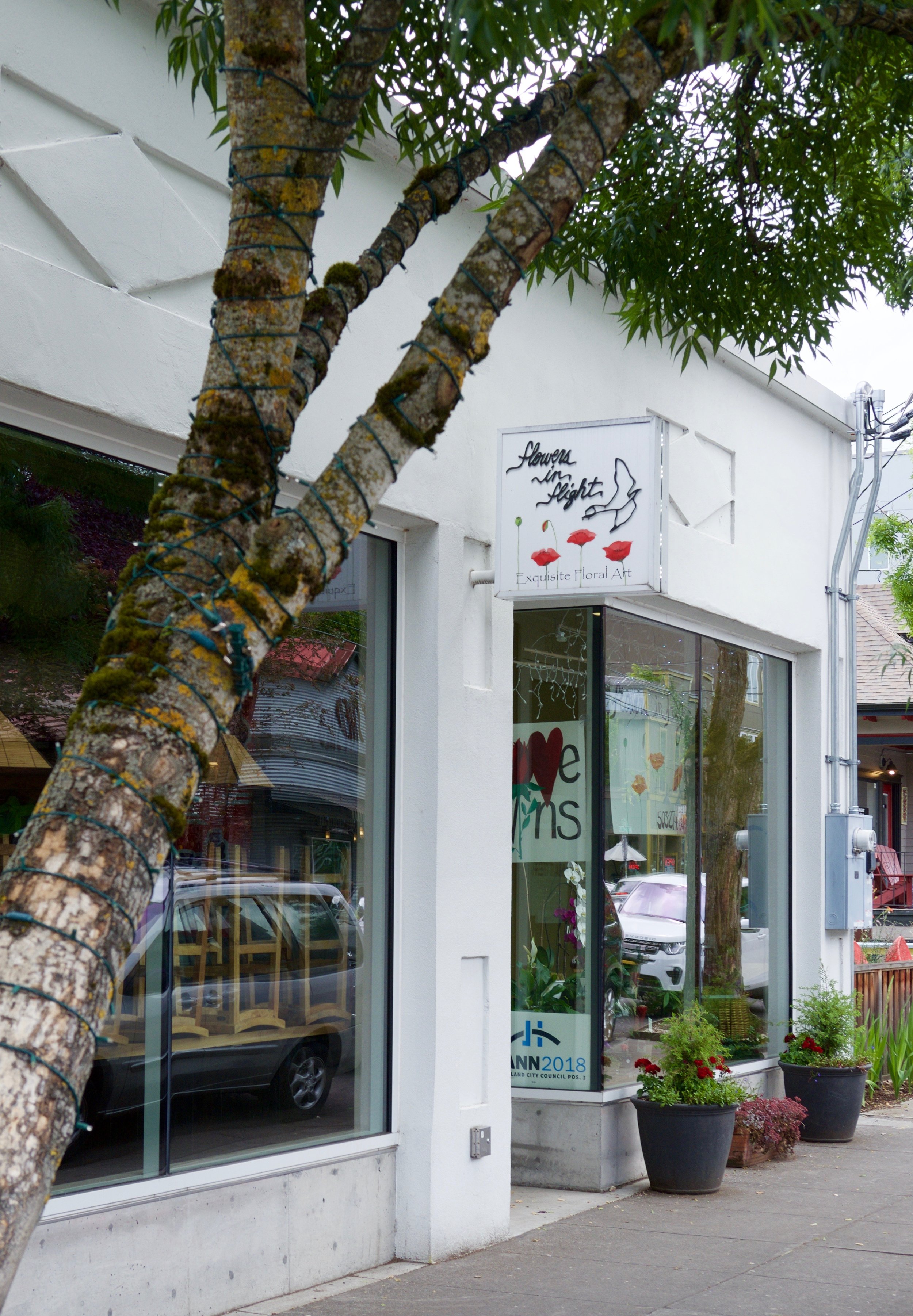 Portfolio — Pingree Northwest / Portland Commercial Property Management