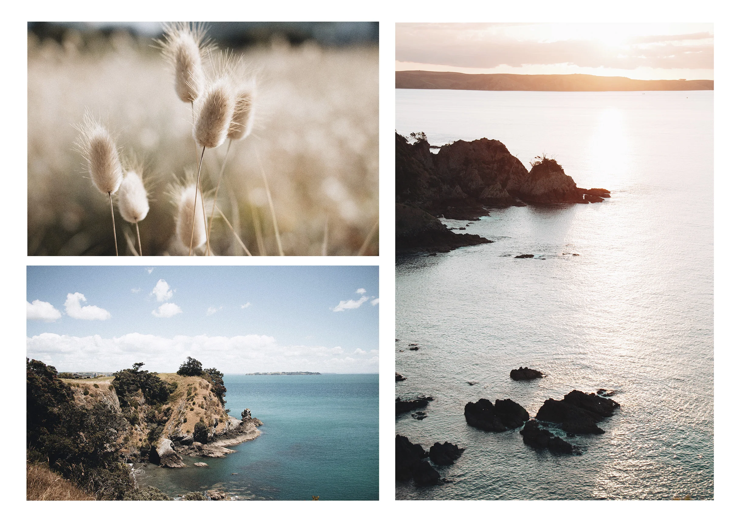 waiheke collage .jpg