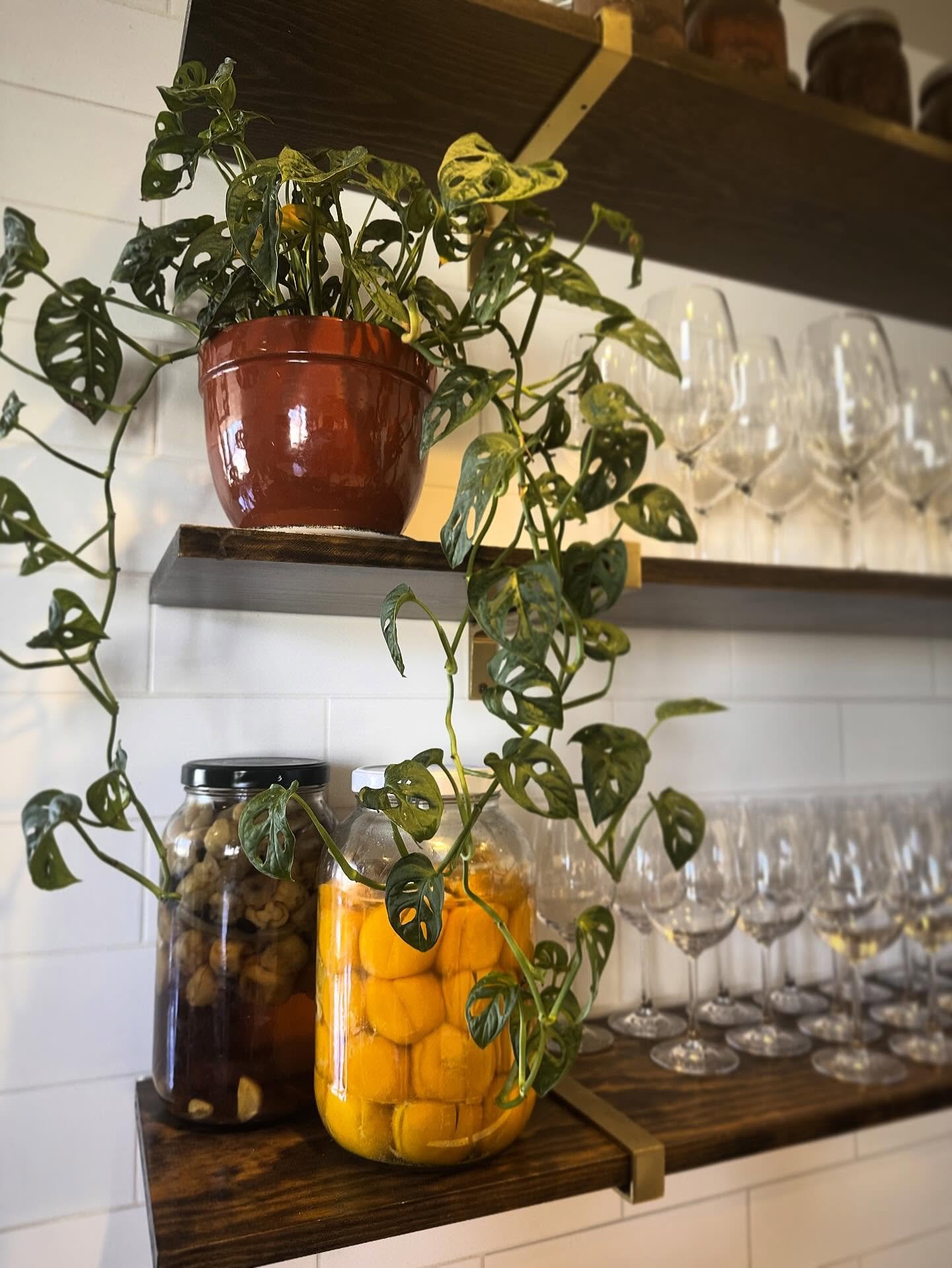 How do we remain &ldquo;Novel&rdquo; after the shine wears off? How do we remain spontaneous after becoming established? Our answer is constantly changing and evolving with trends while keeping our core values and culture intact. We are always steppi