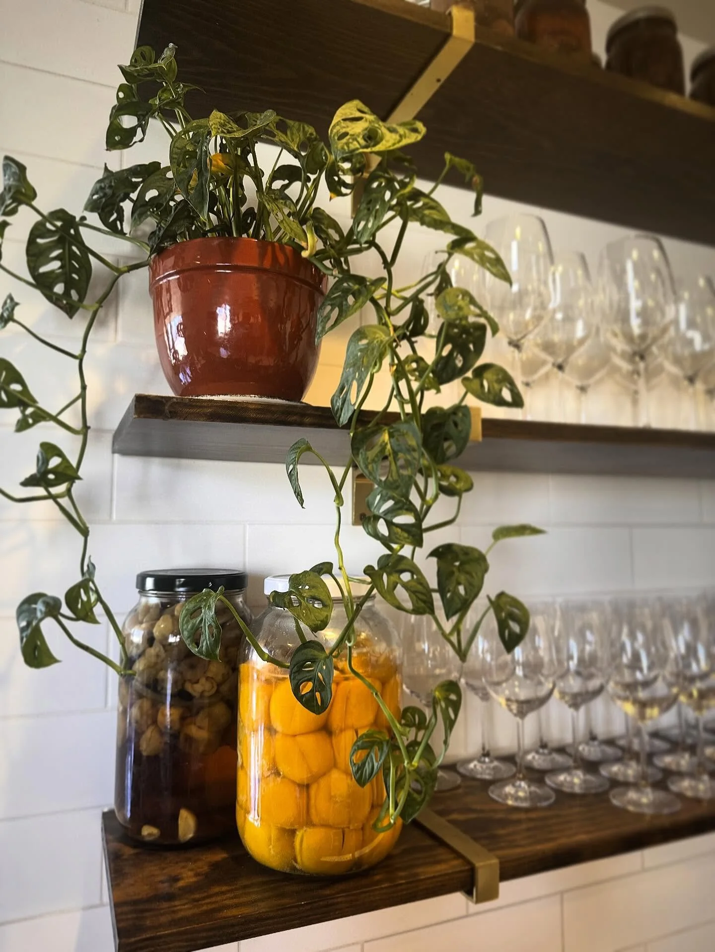 How do we remain &ldquo;Novel&rdquo; after the shine wears off? How do we remain spontaneous after becoming established? Our answer is constantly changing and evolving with trends while keeping our core values and culture intact. We are always steppi