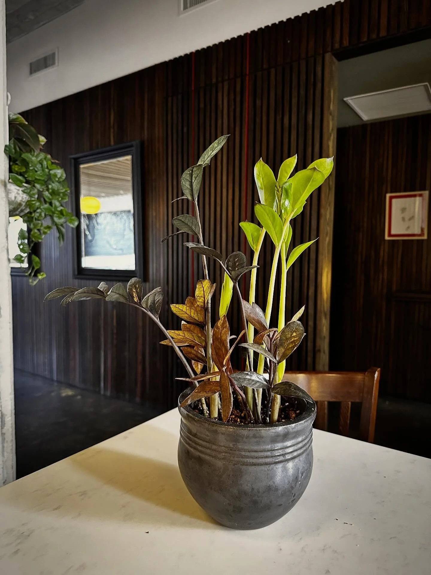 🌿Spring is a time for reflection. With new growth comes new possibilities. Ideas start to bloom and opportunities emerge. This is one of our favorite seasons for trying out new dishes and exploring flavor combinations and techniques. It is also a fl