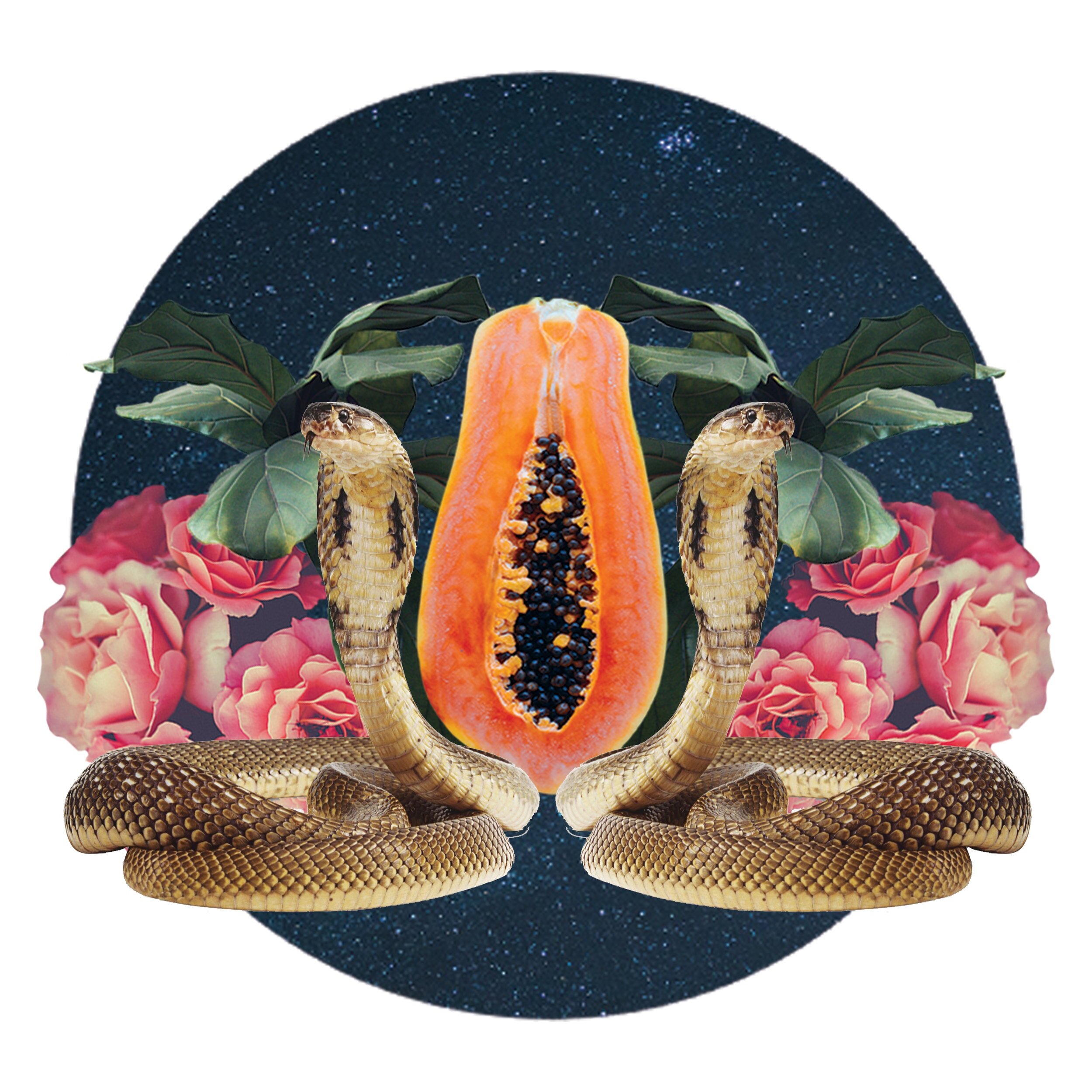 ScorpioNewMoon print.jpg