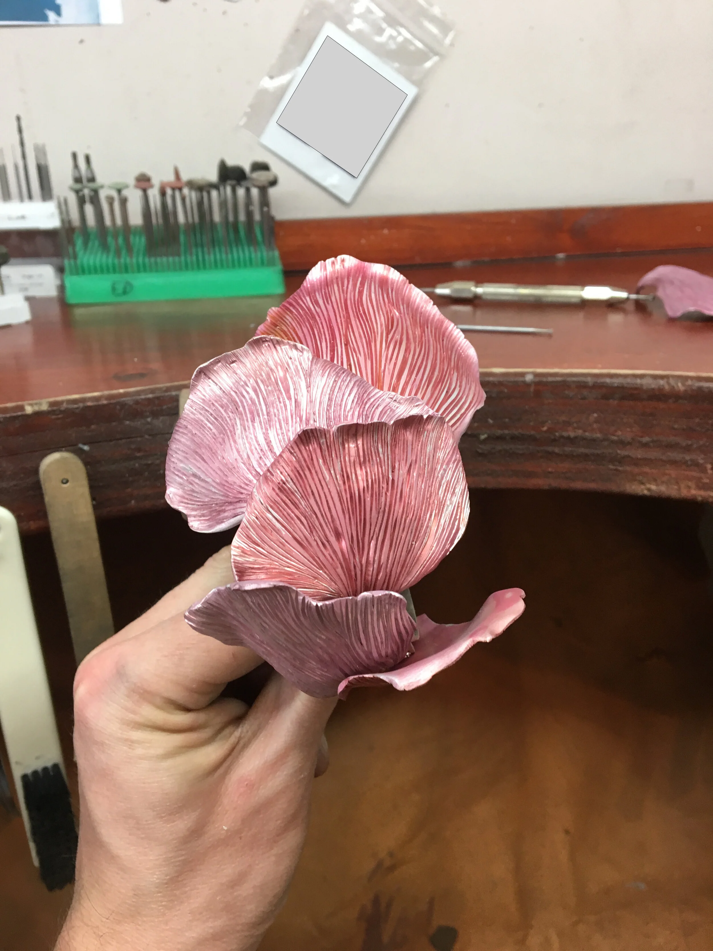 The making of the anodised aluminium mycology cuff.jpg