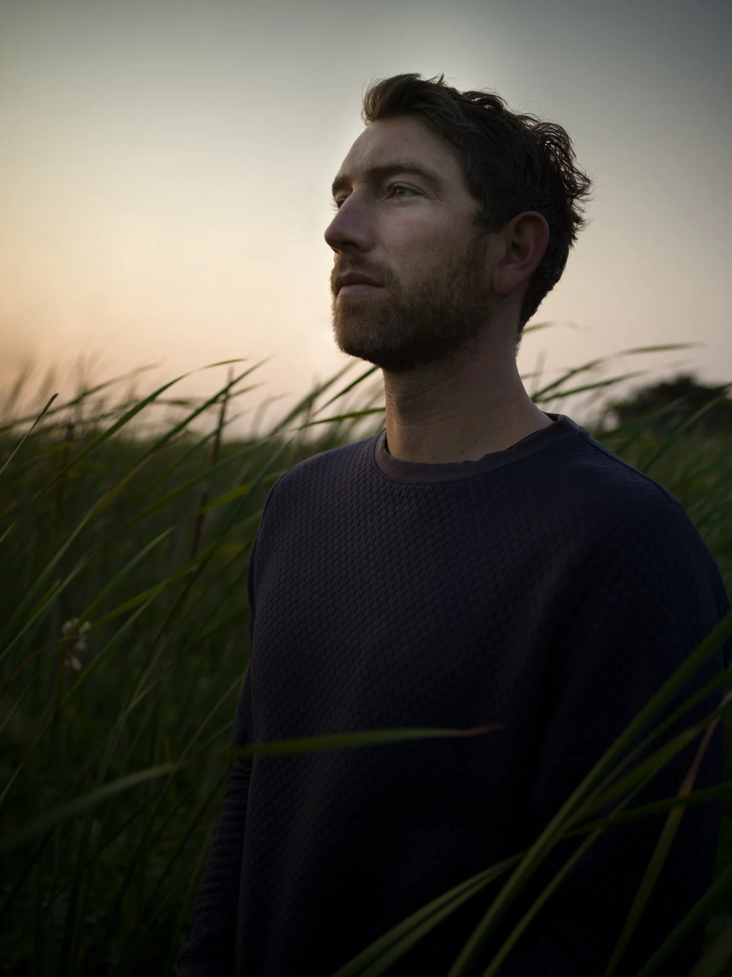 reeds_02.jpg