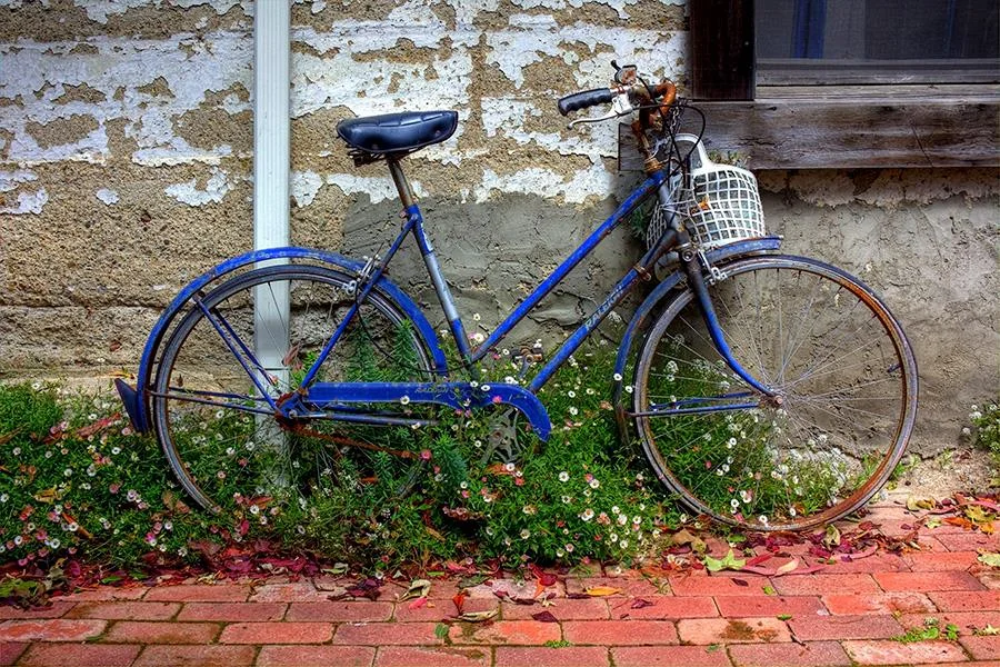 Blue Bike