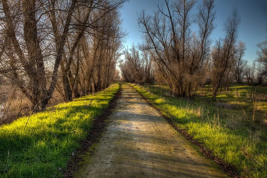 Country Road Take Me Home