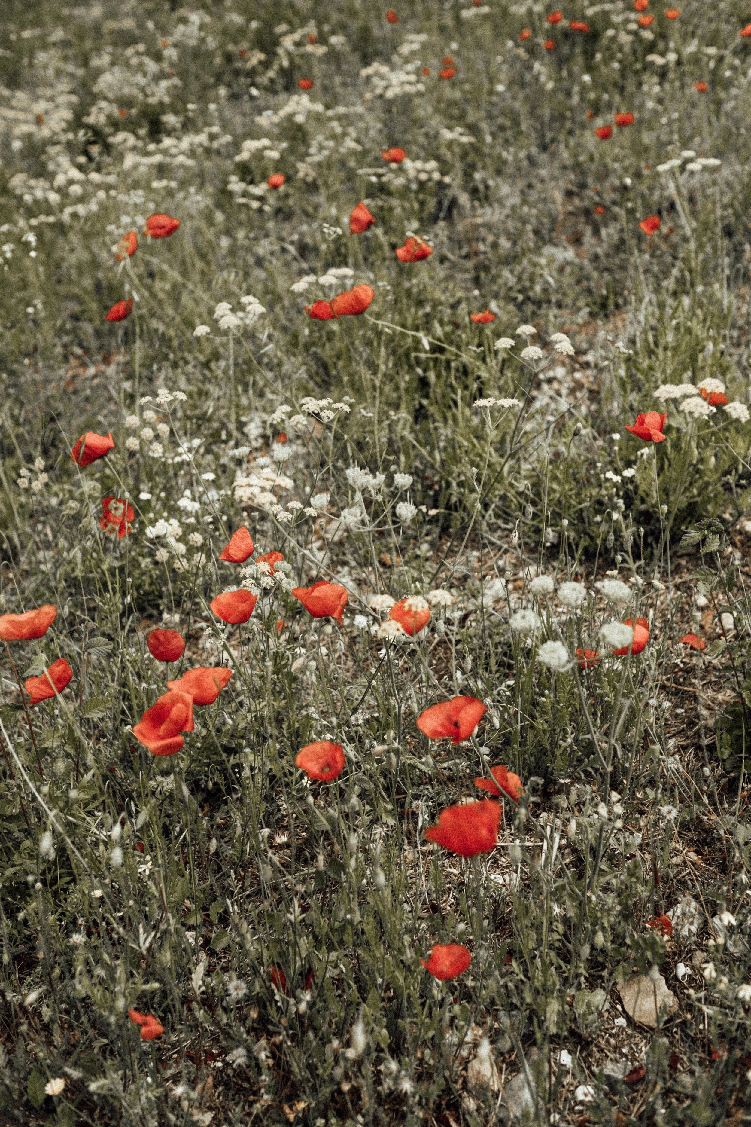 greece-may-20-3.jpg