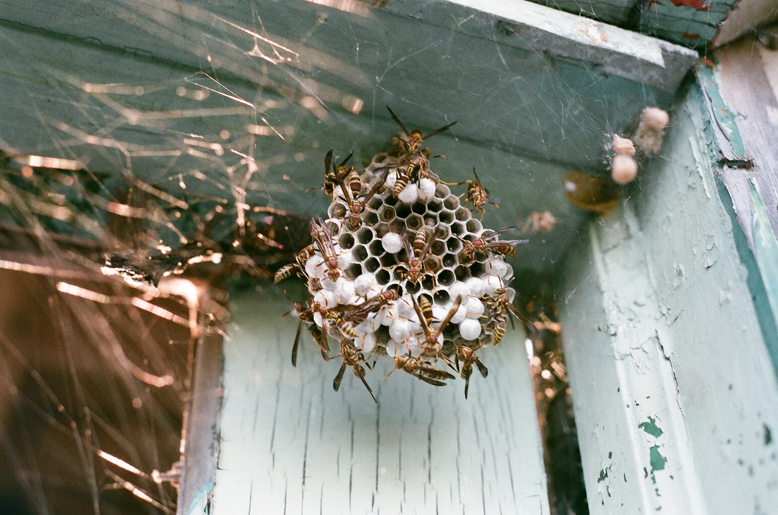 71380008.JPG