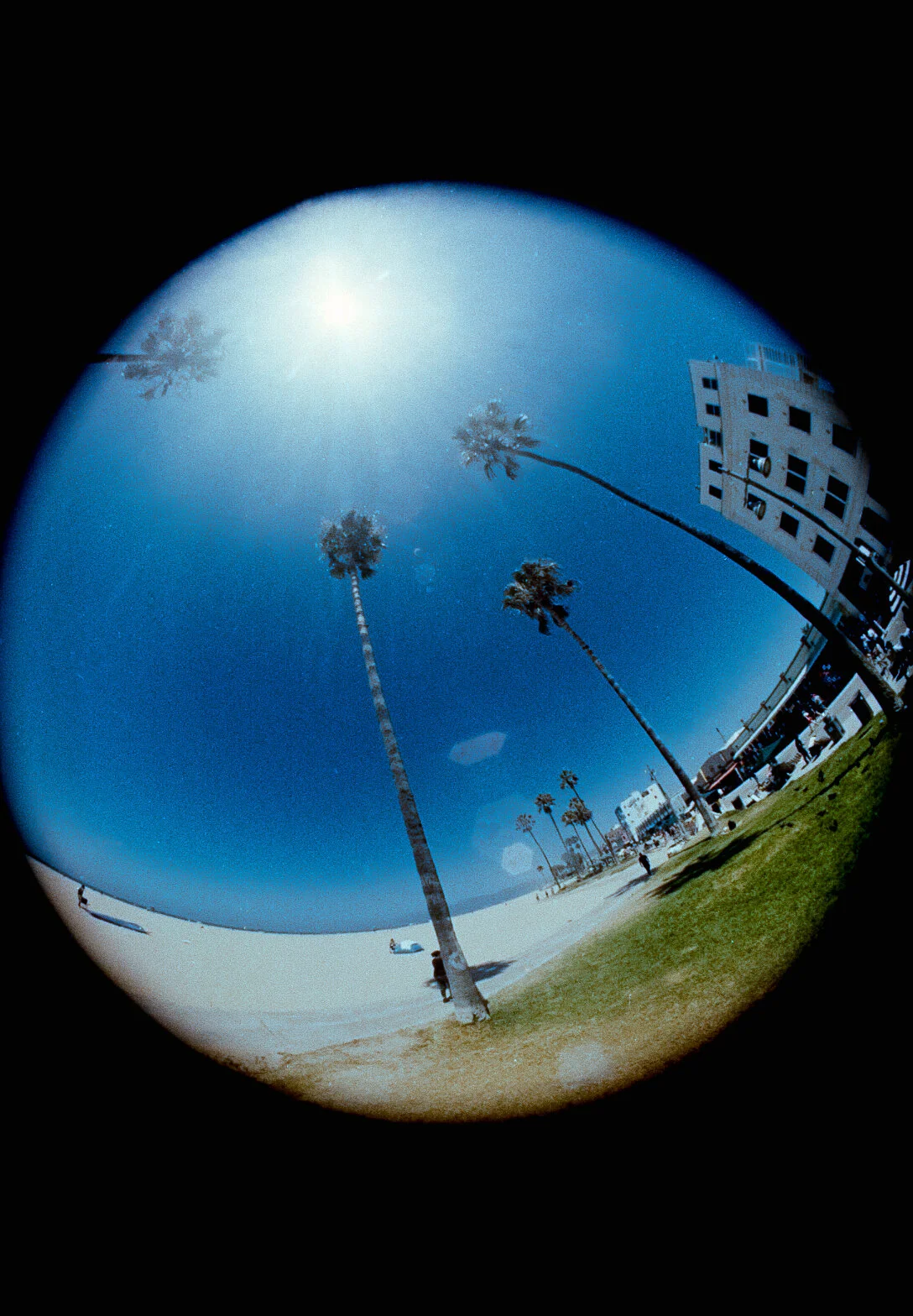  Digitized with Negative Lab Pro v2.1.2 