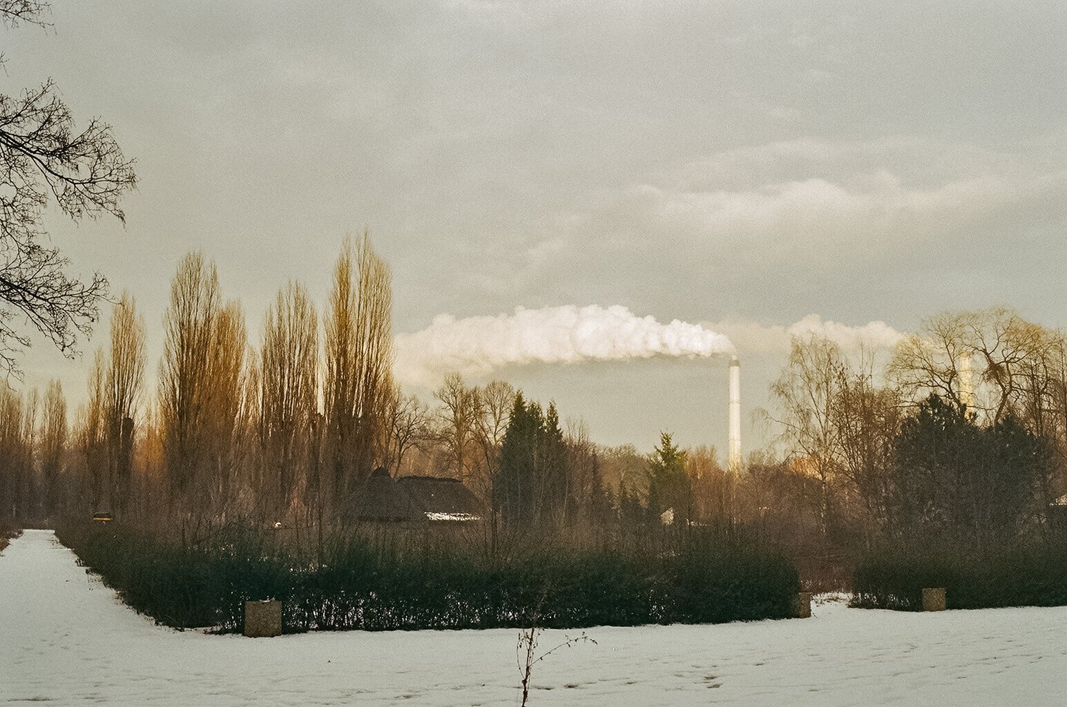 45870019.JPG