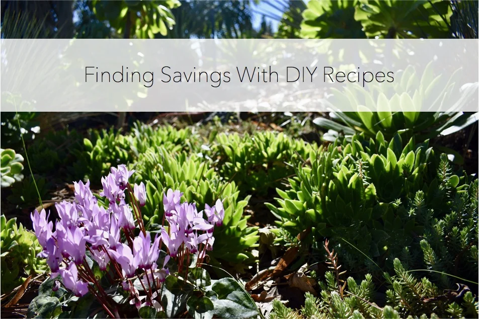 findingsavingsdiyrecipes