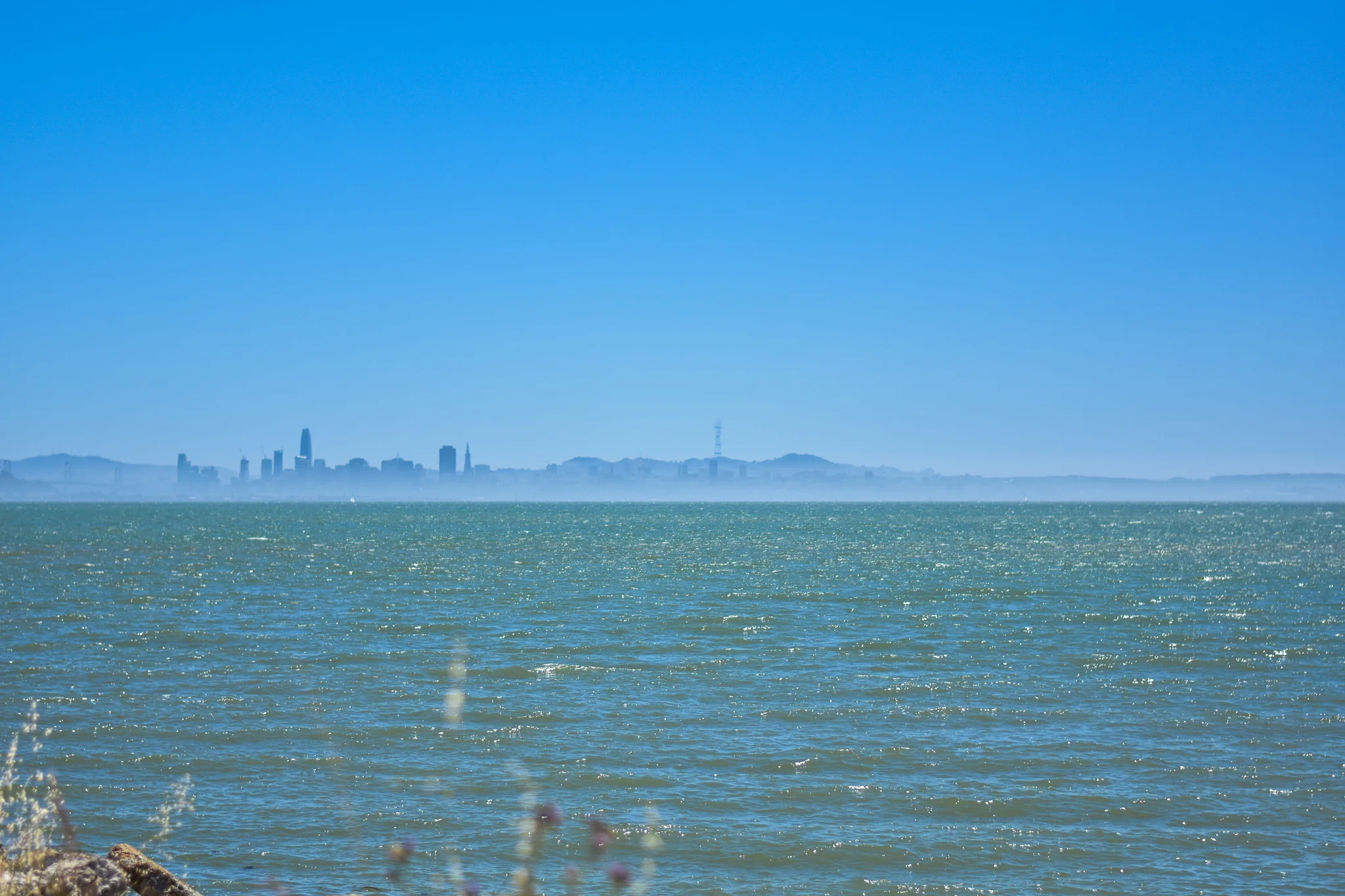 DSC_0100.jpg