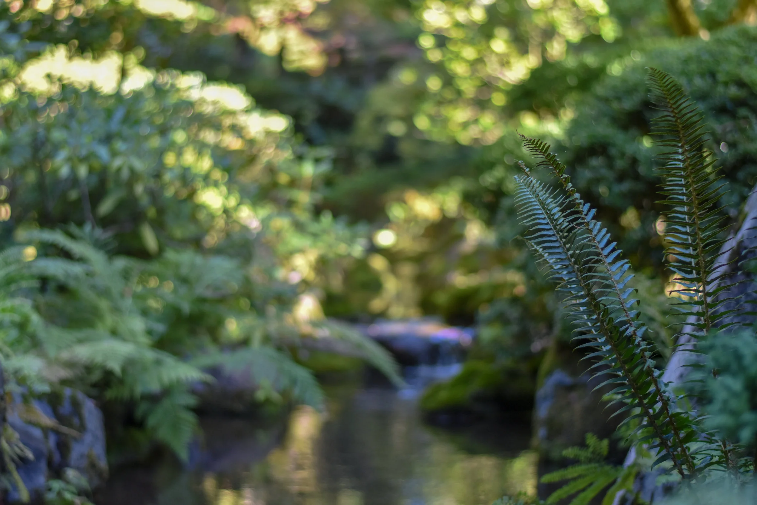 DSC_1061.jpg
