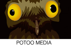 potoo.jpg