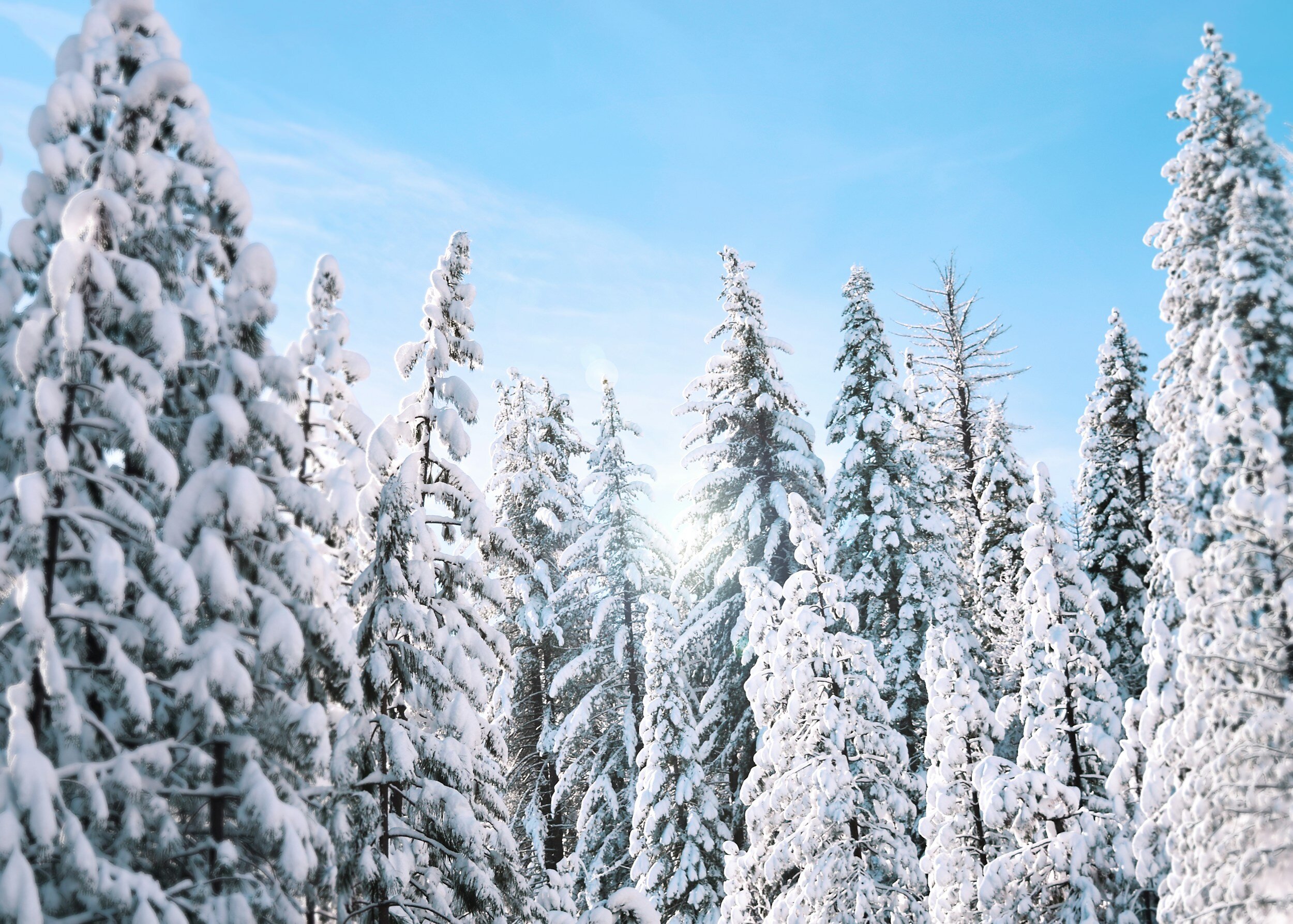 Vermont Winter Retreat with Daniel Max 