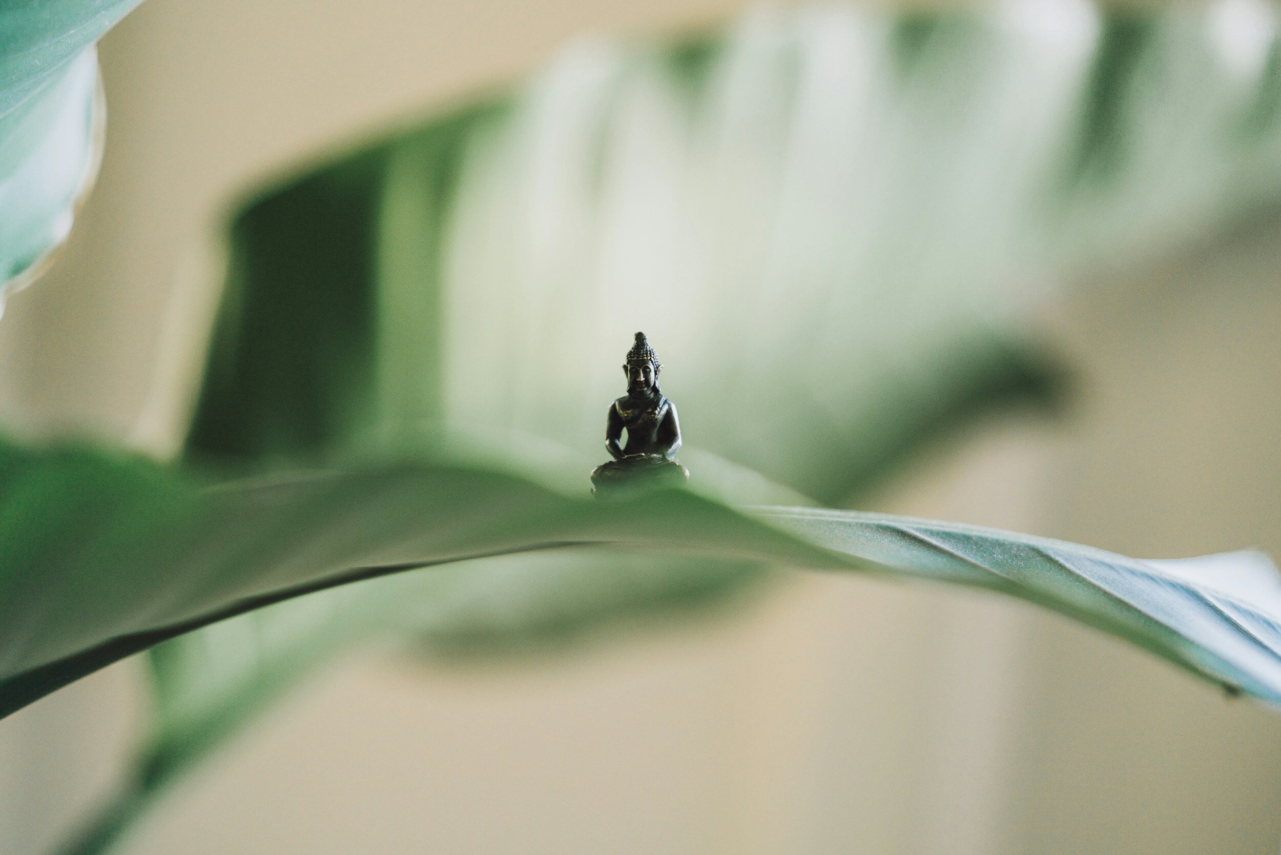 Restore & Explore 2024, A 4 day Yoga Immersion with Nikki McMaster