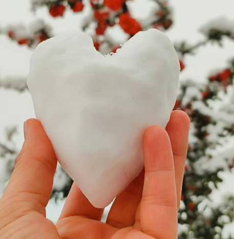 Held in Stillness: A Valentine’s Meditation Retreat