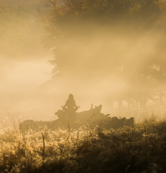 Meditation Immersion: A Five-Day Retreat 