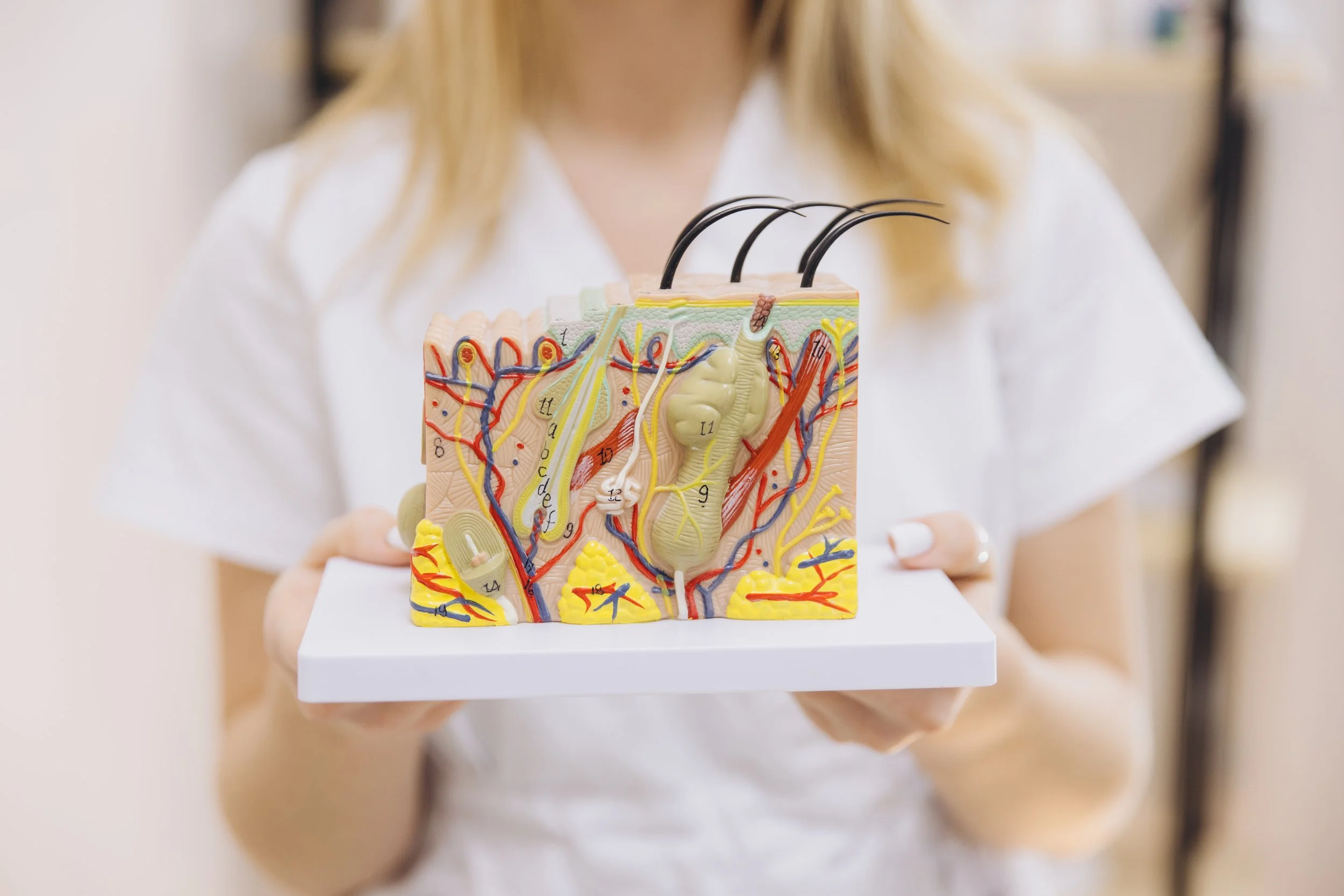 Why Your Skin Keeps Breaking Out (And Why It's Not Really a Skin Problem)