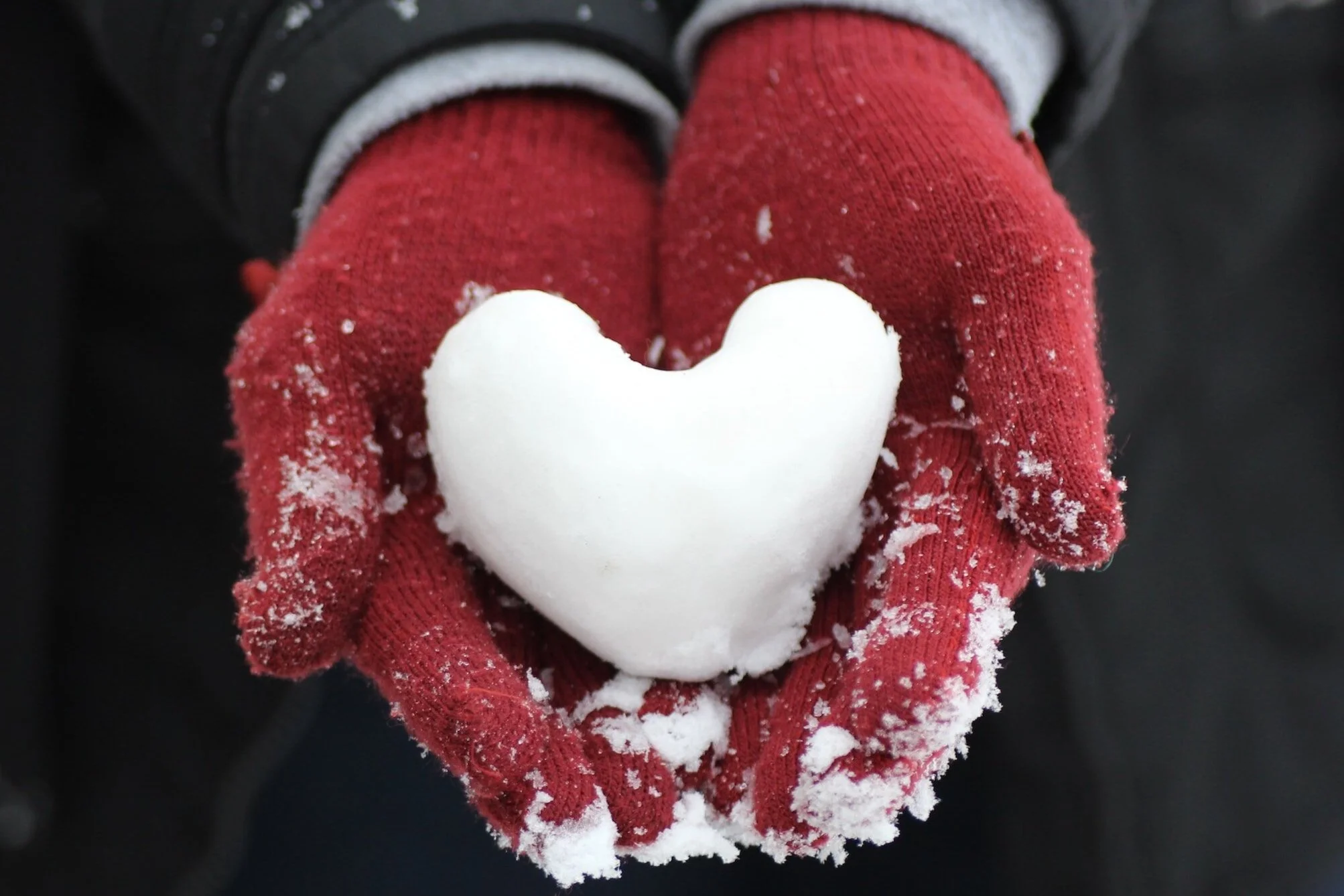 3Day Ayurveda Retreat — SeTu Vermont