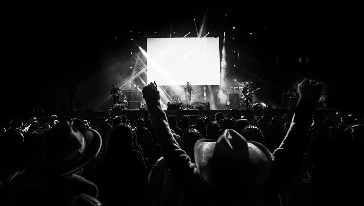 Los_Amigos_Invisibles_Cin_Crowd_DGA3448.jpg