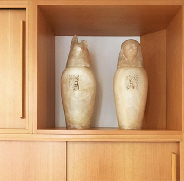 ROOT-2.jpg