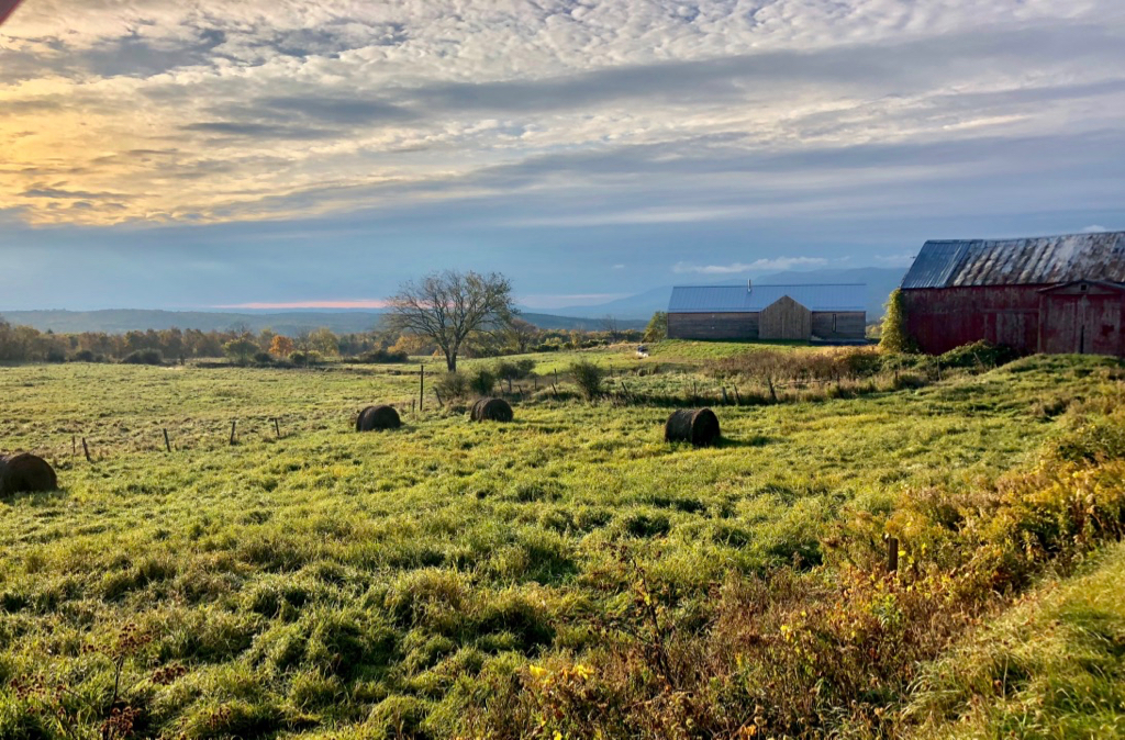 Upstate 6.jpg