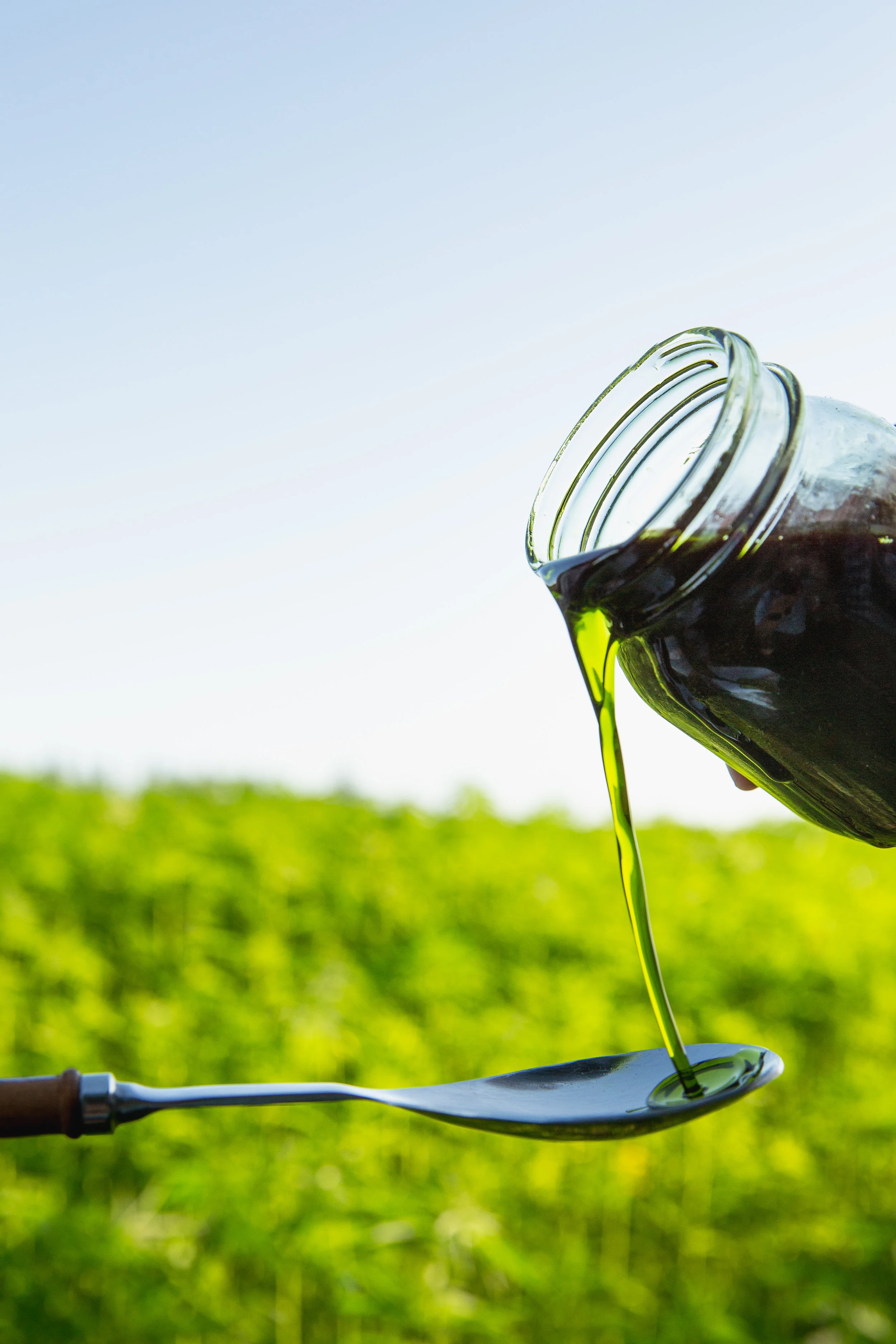 Cold-Pressed Hemp Oil