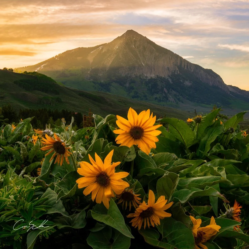 Round Mountain Reduced-53.jpg