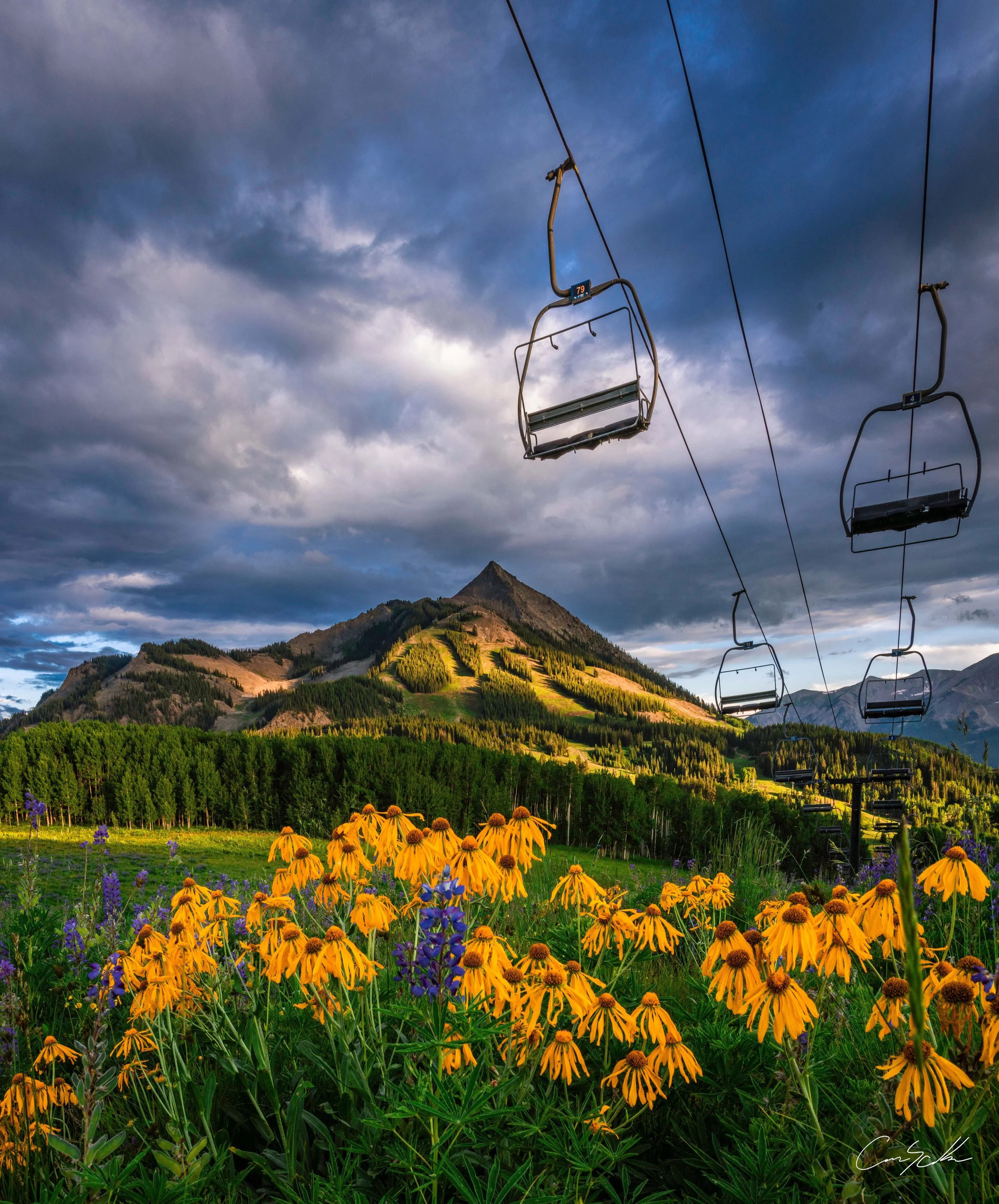 MtCB Wildflower Lift Print.jpg