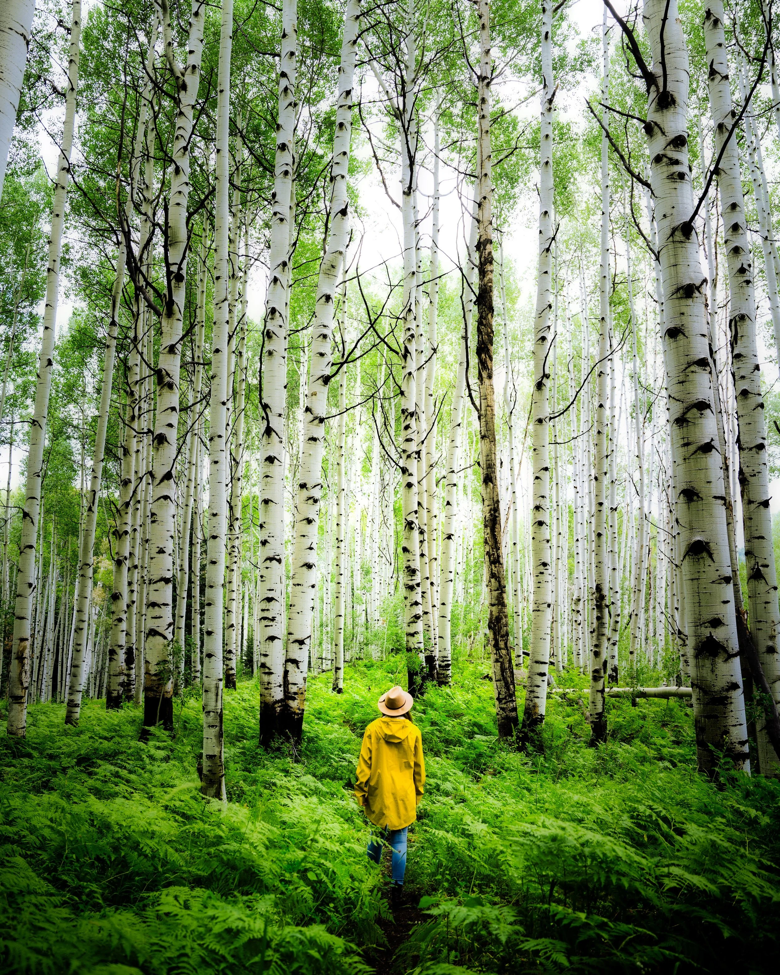 Mk in the forest.jpg