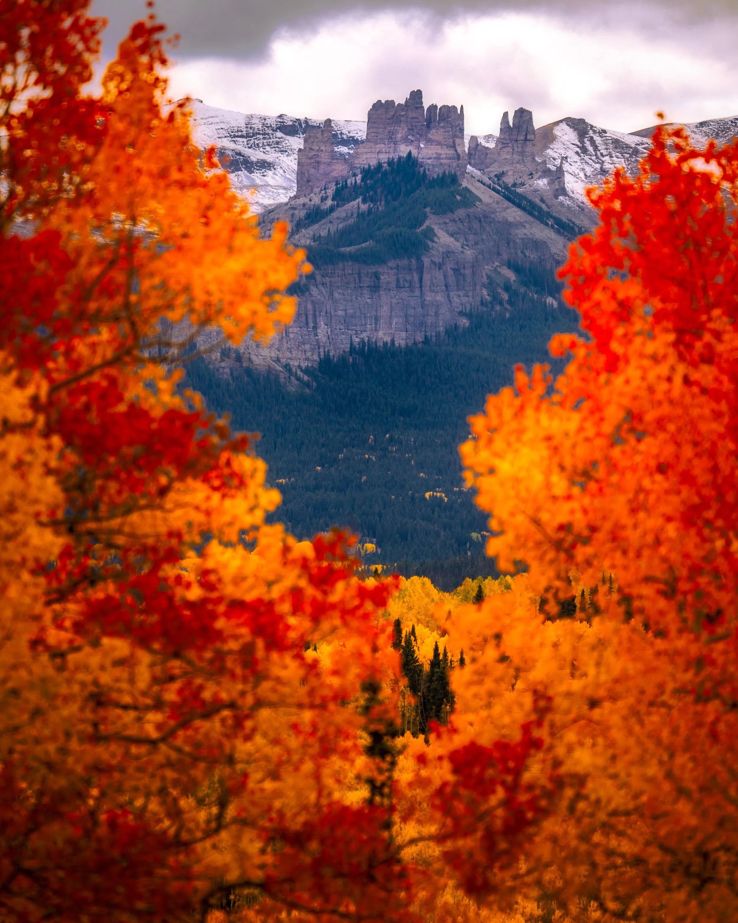 Castles Fall Frame Full.jpg