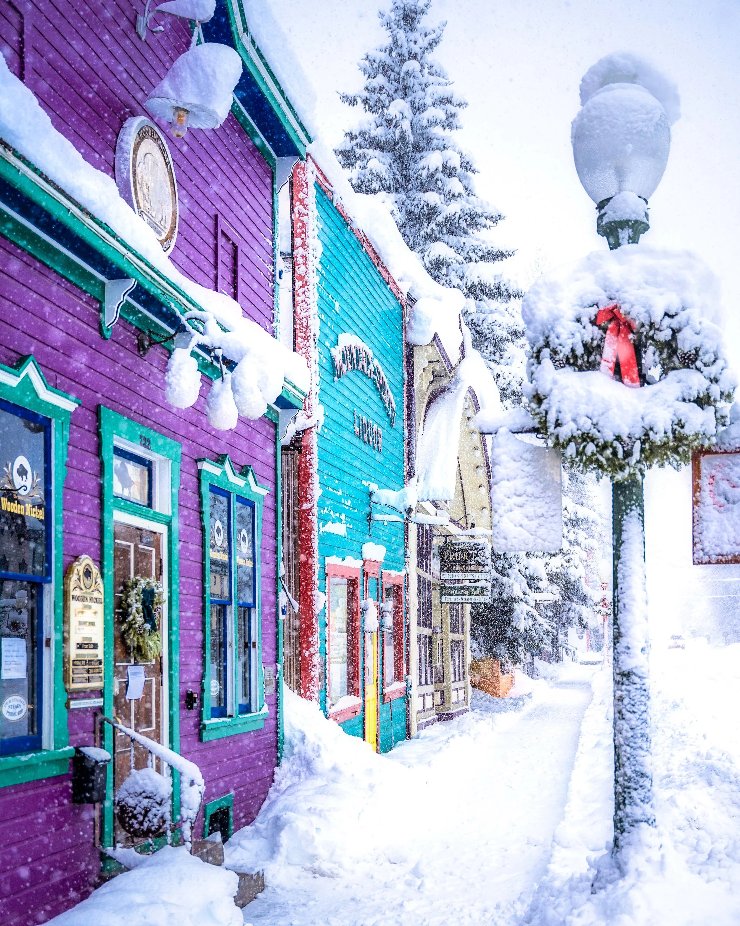 Elk Ave Snowy Business.jpg