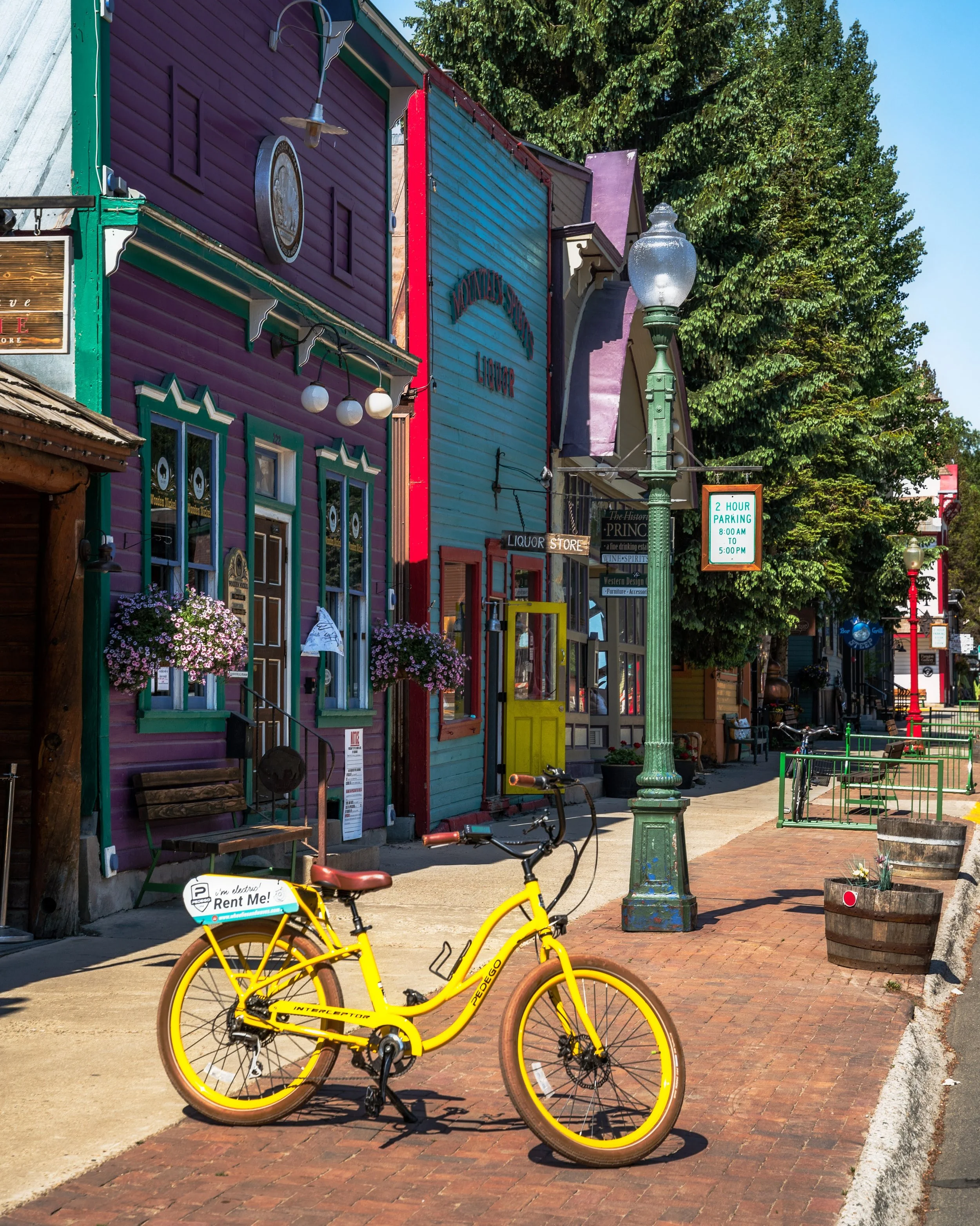 ElkAve.Townie.Summer.MidDay.6.15.21 (1).jpg