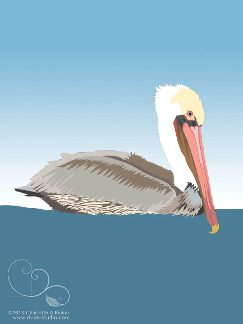 Ricker_Pelican_float_web.jpg