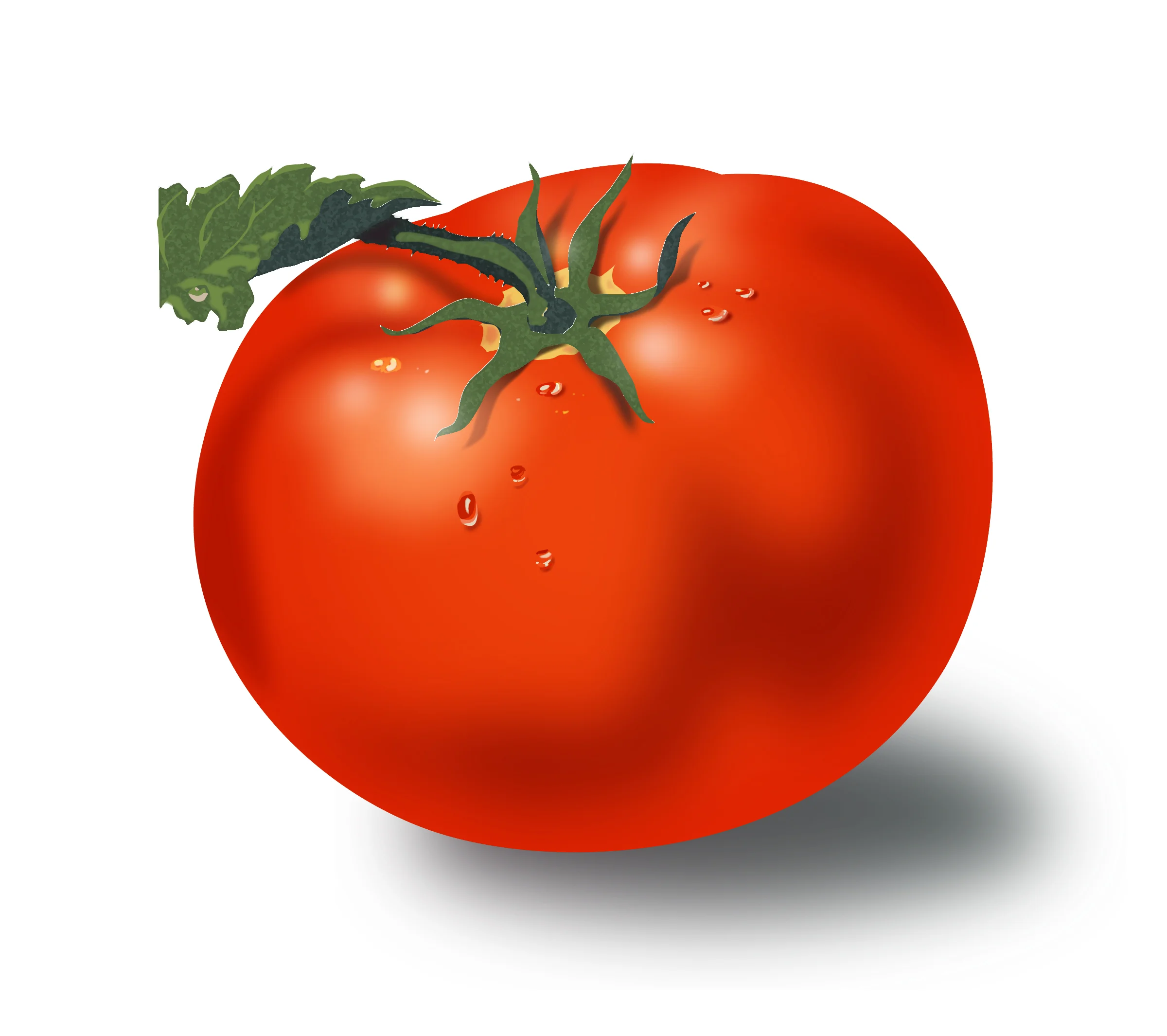 091118_Ricker_Tomato_rendering-01.jpg