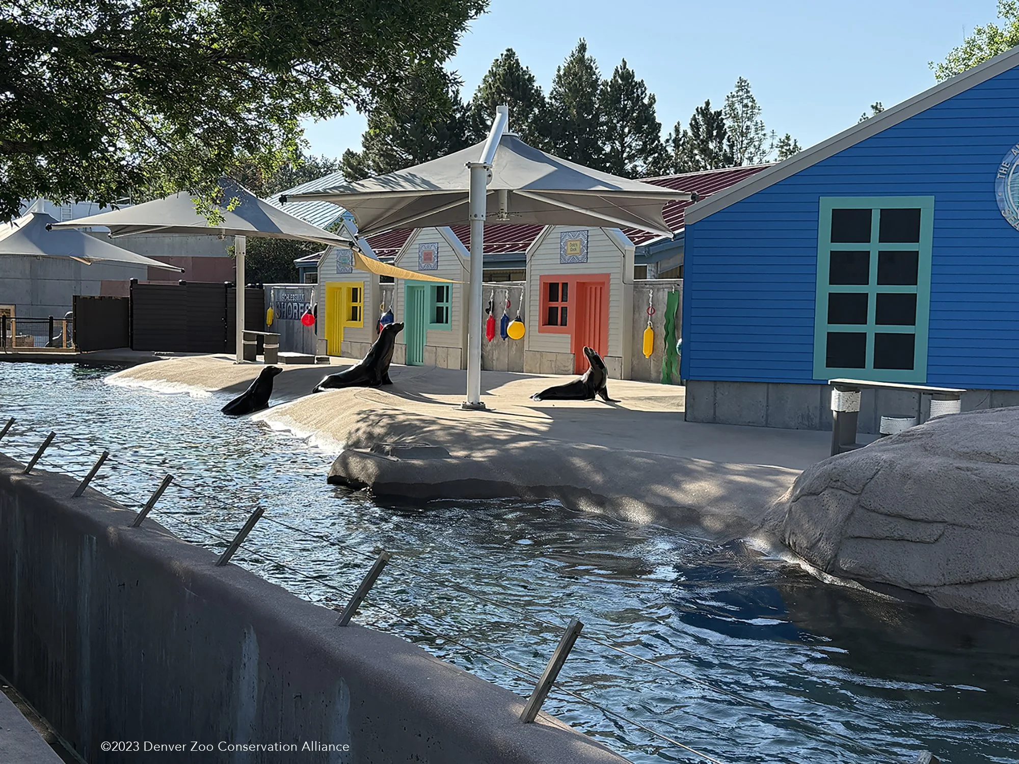 SeaLions_photo_close_sm.jpg