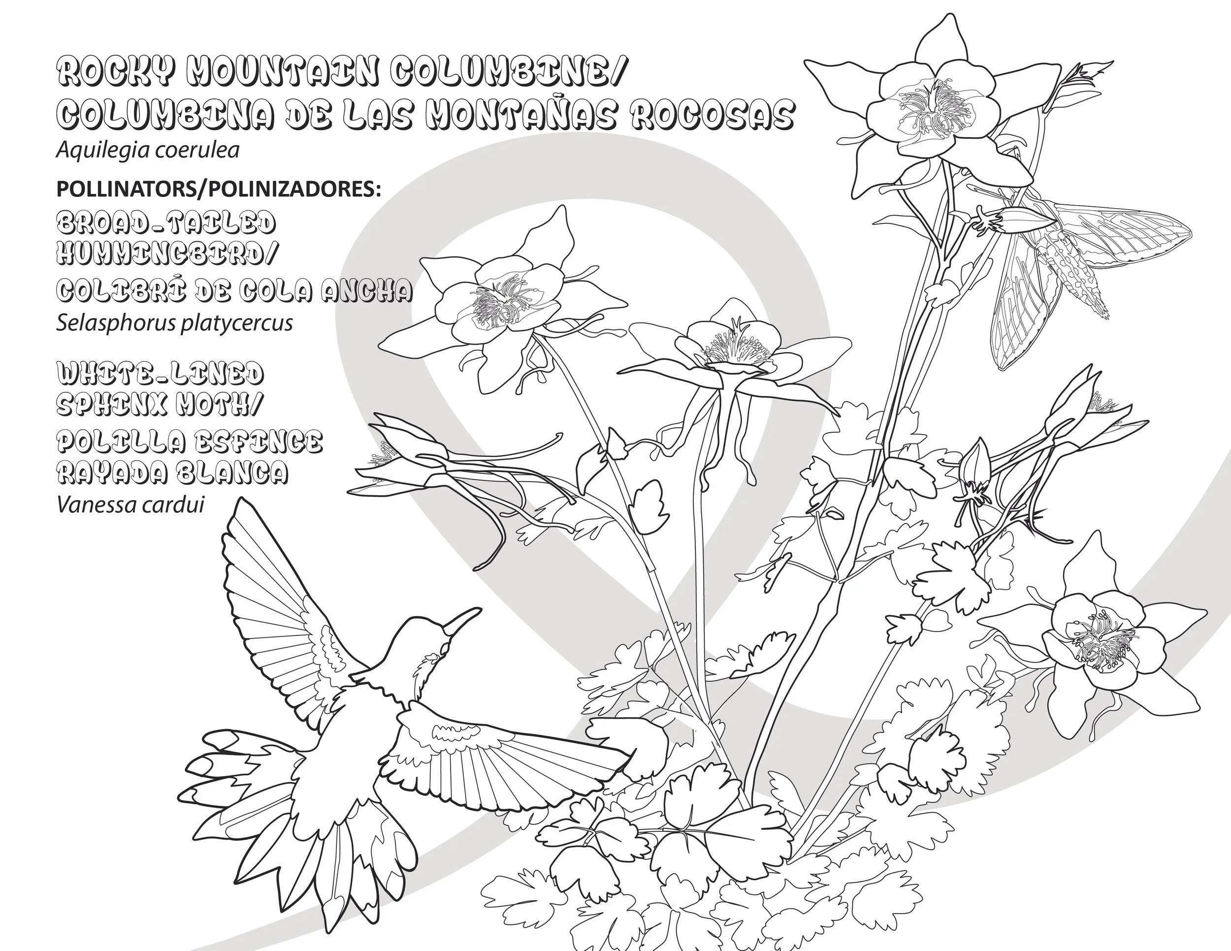Ricker_Pollinator_ColoringPages-04.jpg