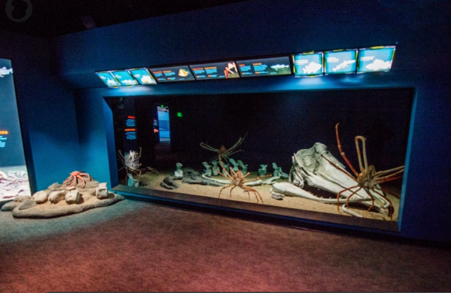 Screen Shot 2022-08-08 at 5.32.18 PM.png