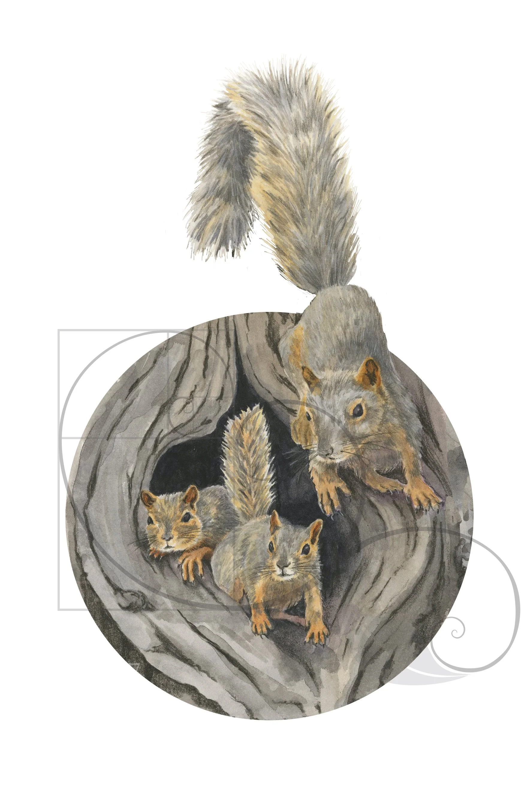 SquirrelDen_color_sm.jpg