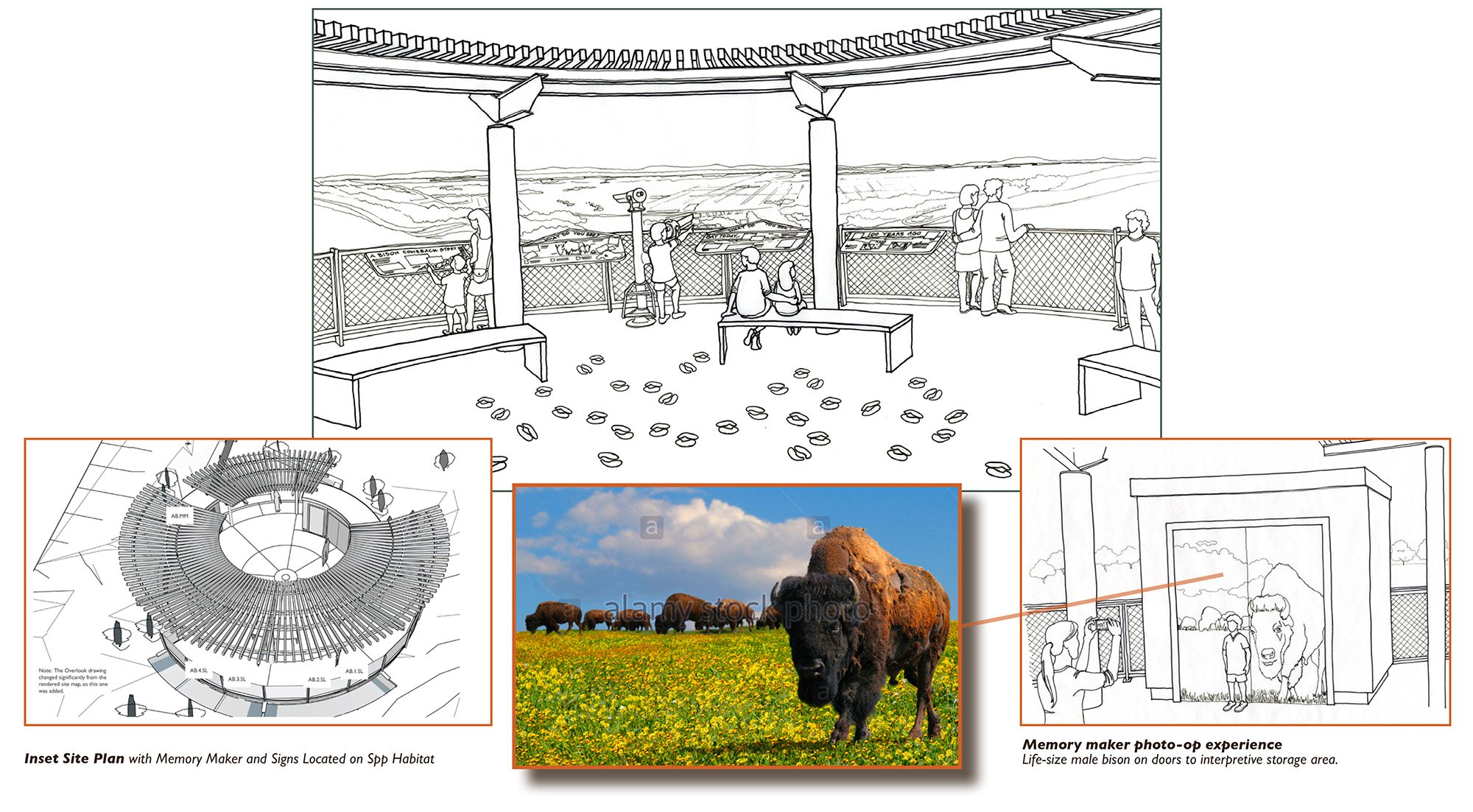 OaklandZoo_page47_BisonOverlook.jpg