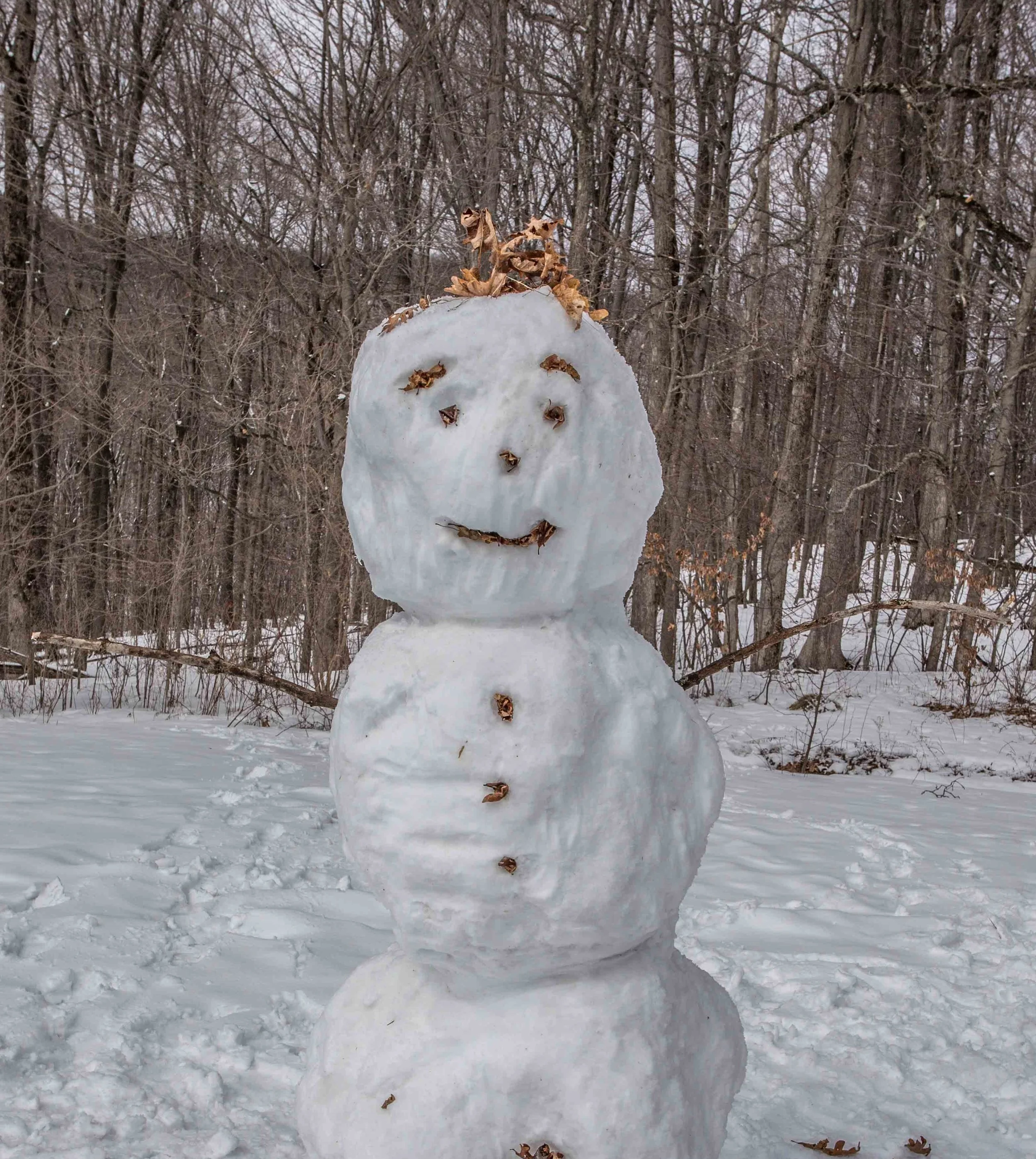Embracing the snow, a few of the kiddos made a snowman.